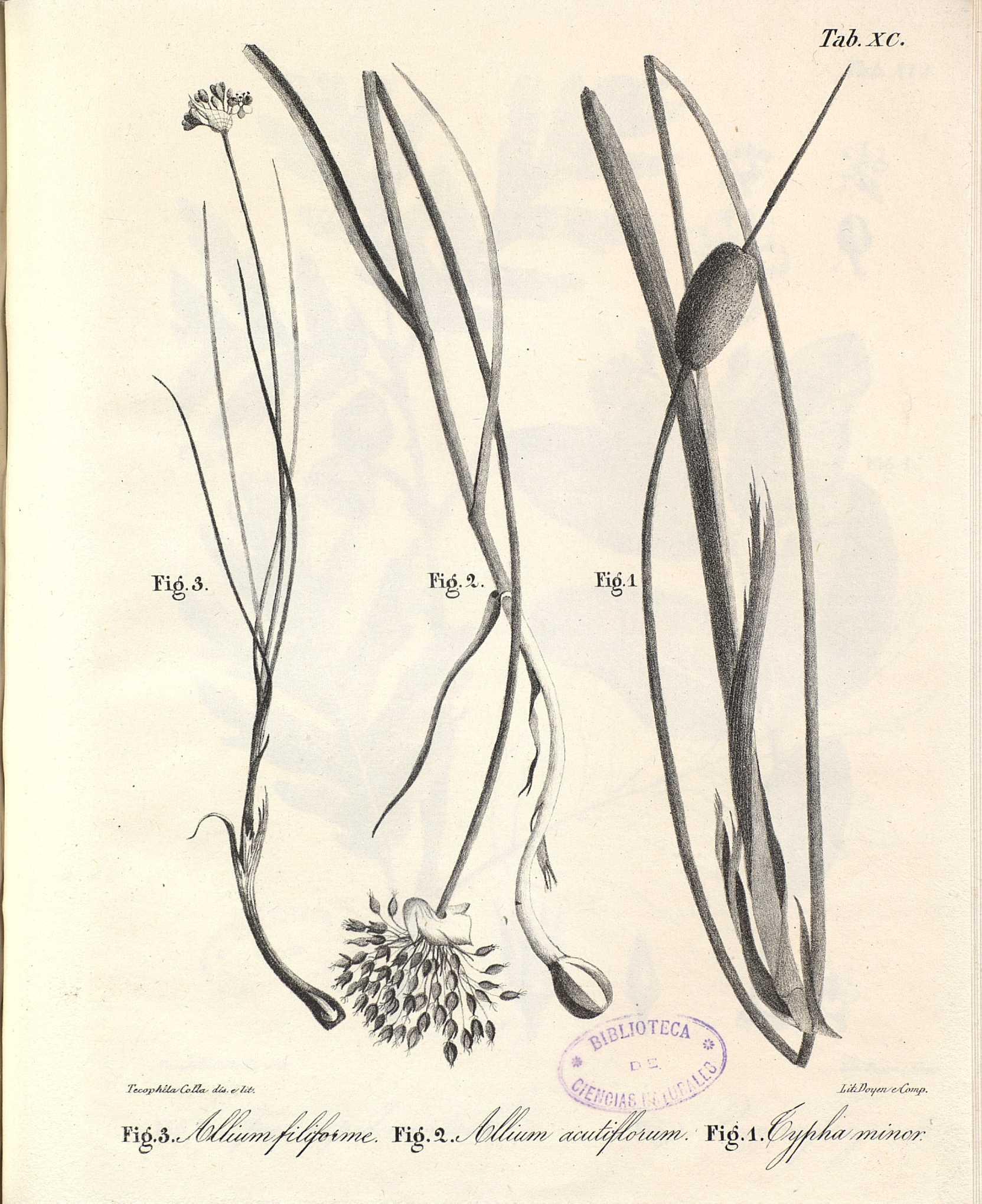 no full size  illustration available (3a)