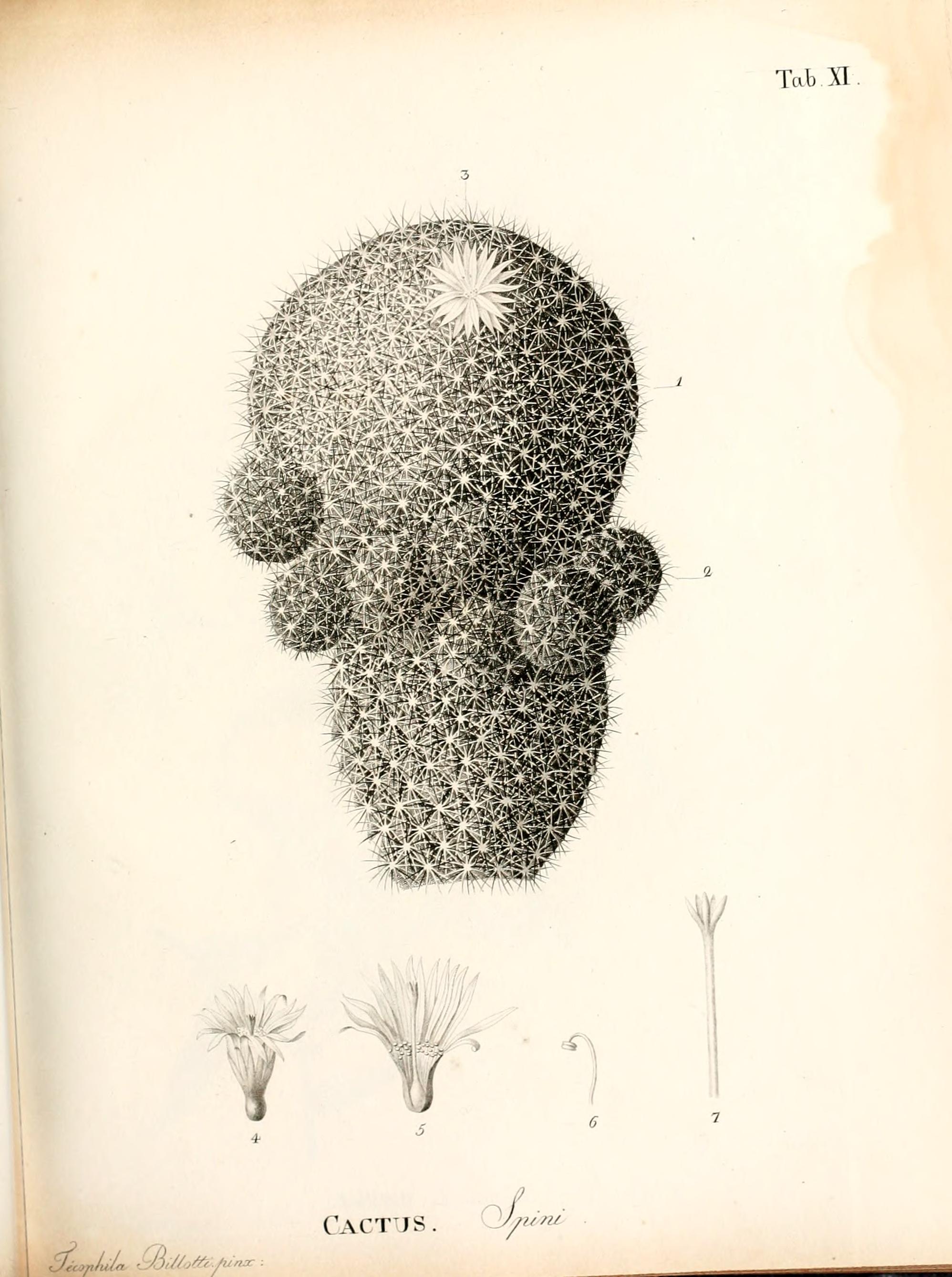 no full size  illustration available (3a)