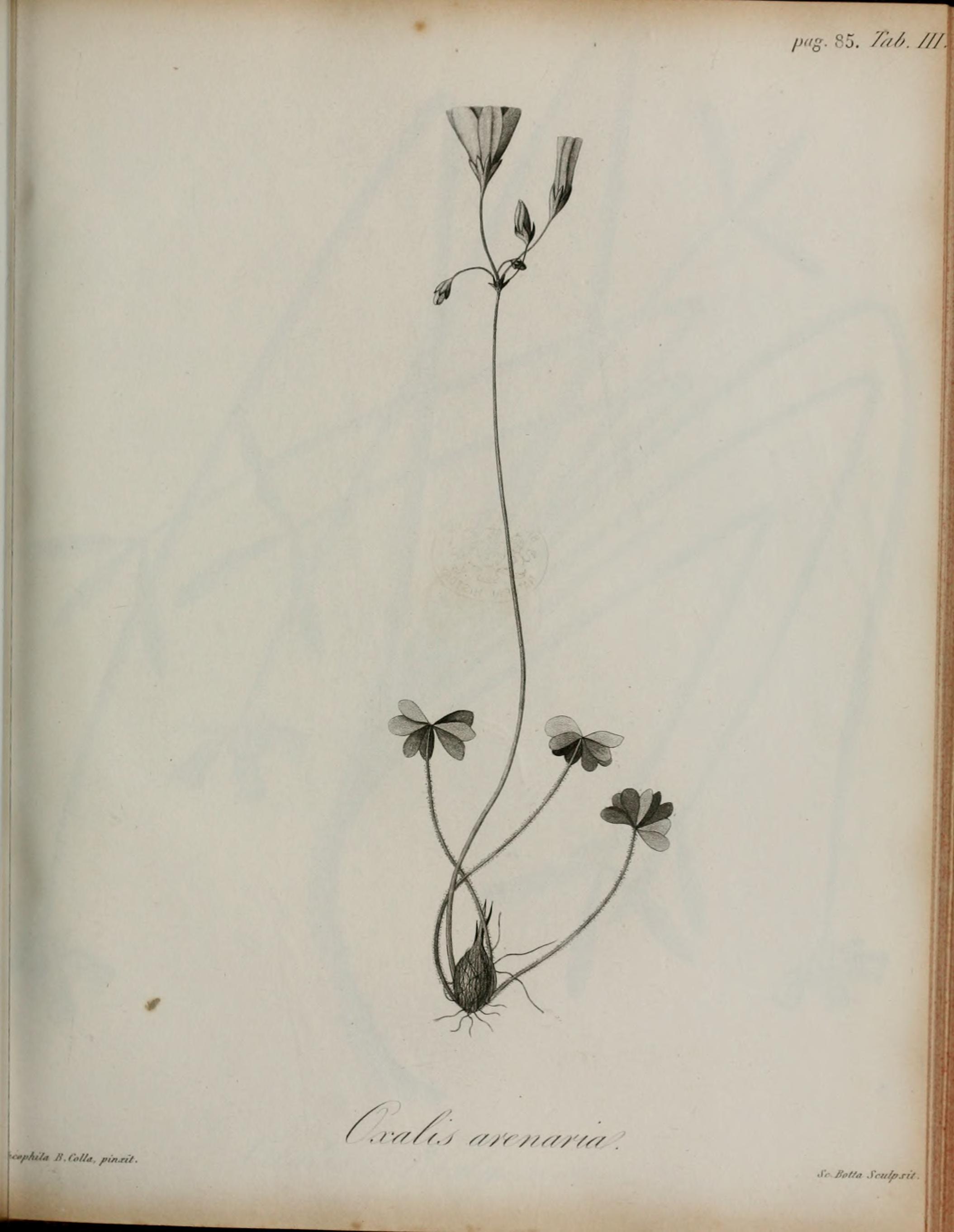 no full size  illustration available (3a)