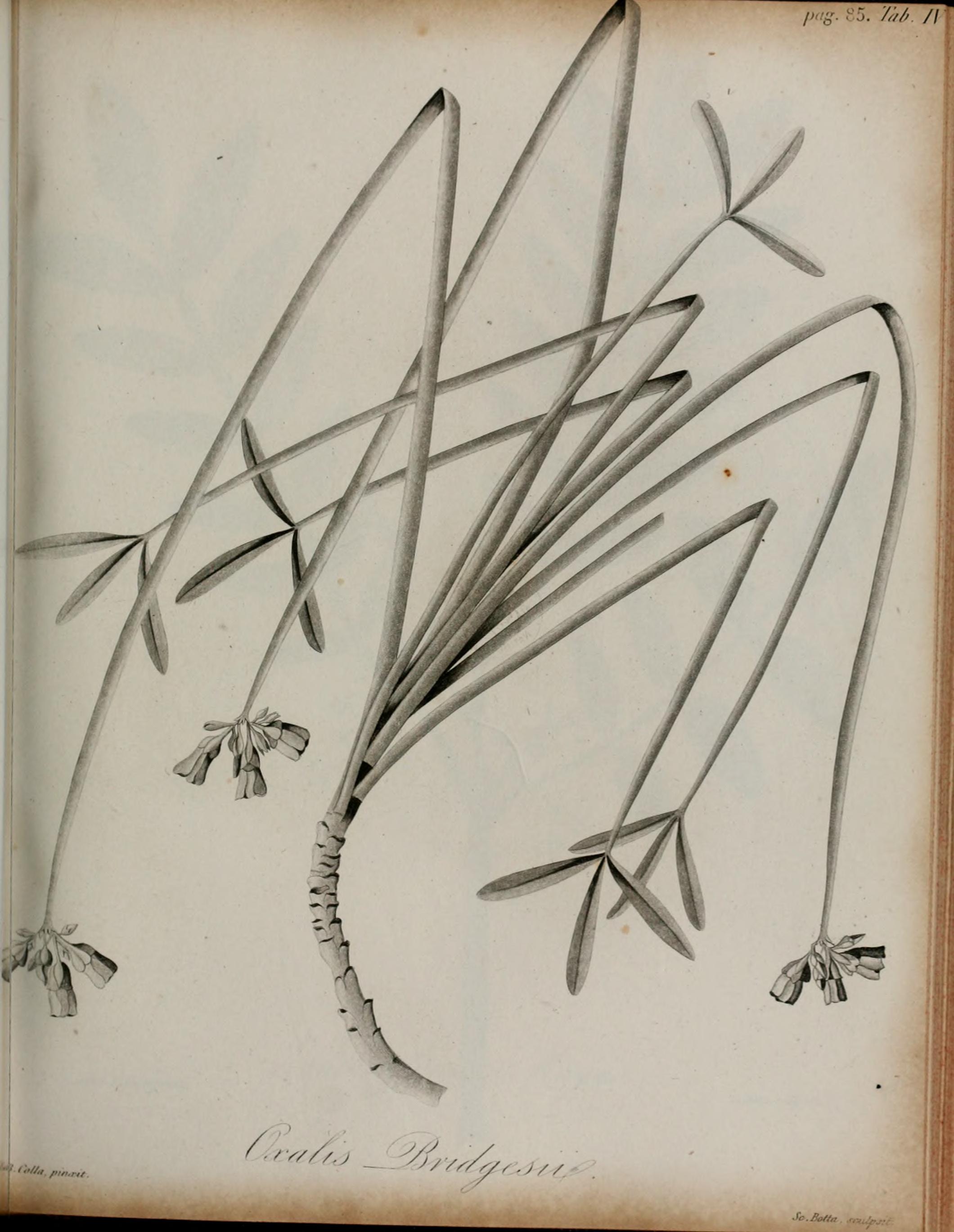 no full size  illustration available (3a)