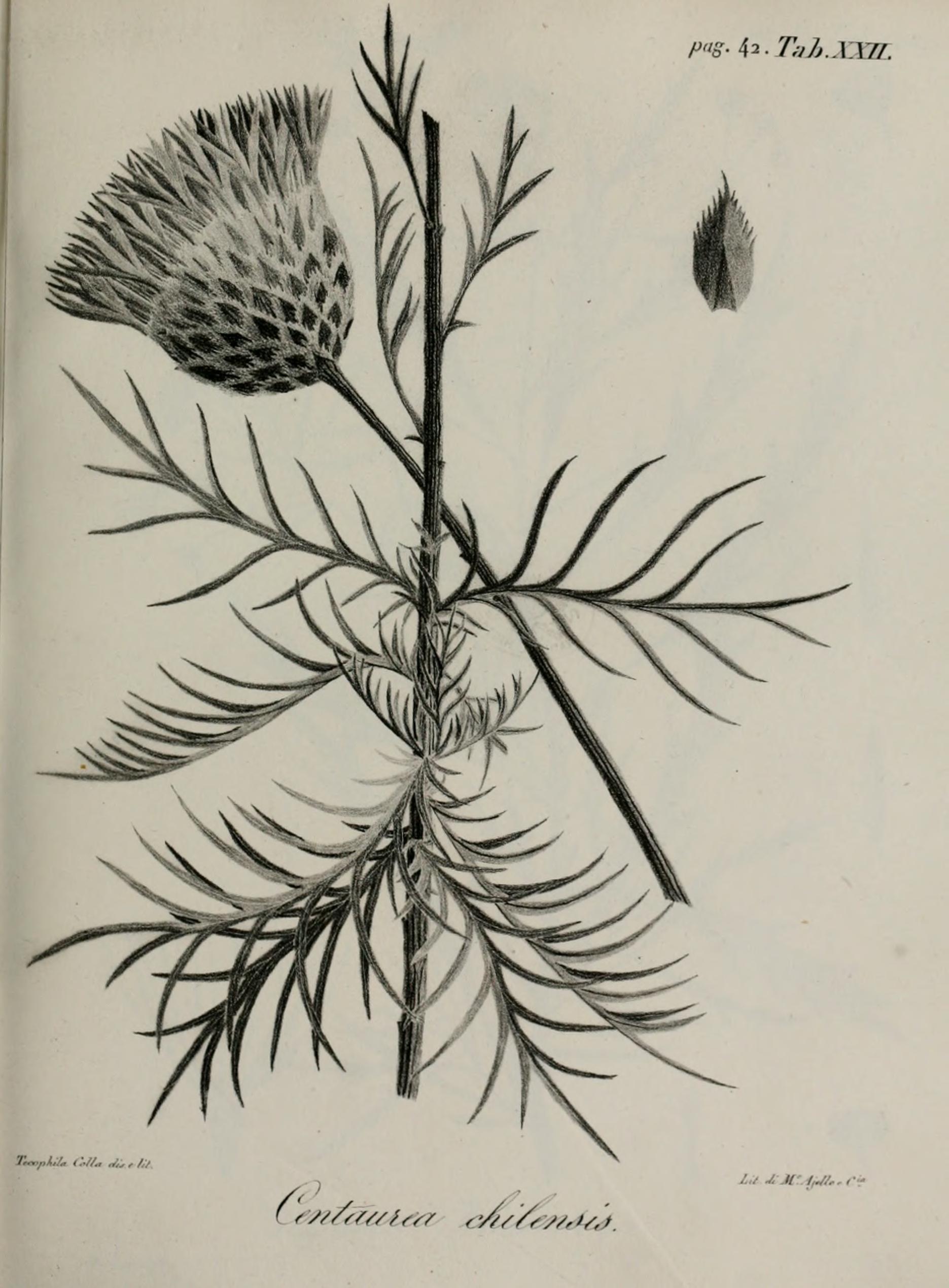 no full size  illustration available (3a)