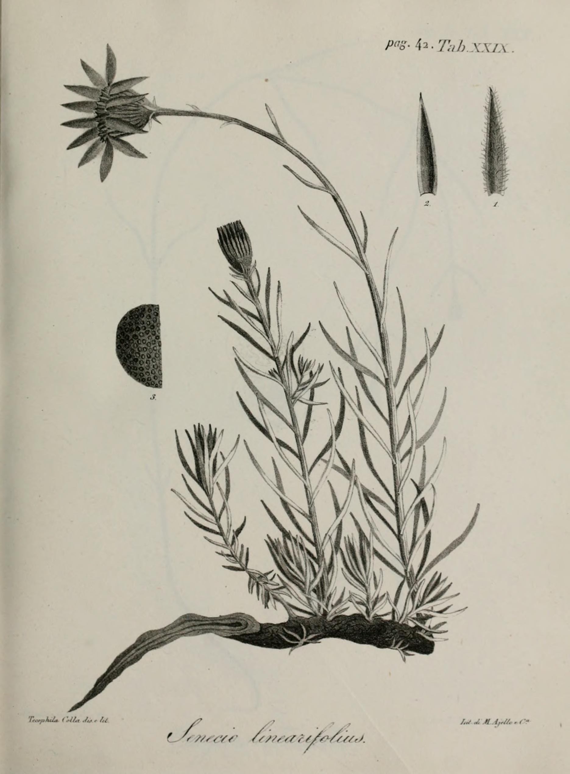 no full size  illustration available (3a)