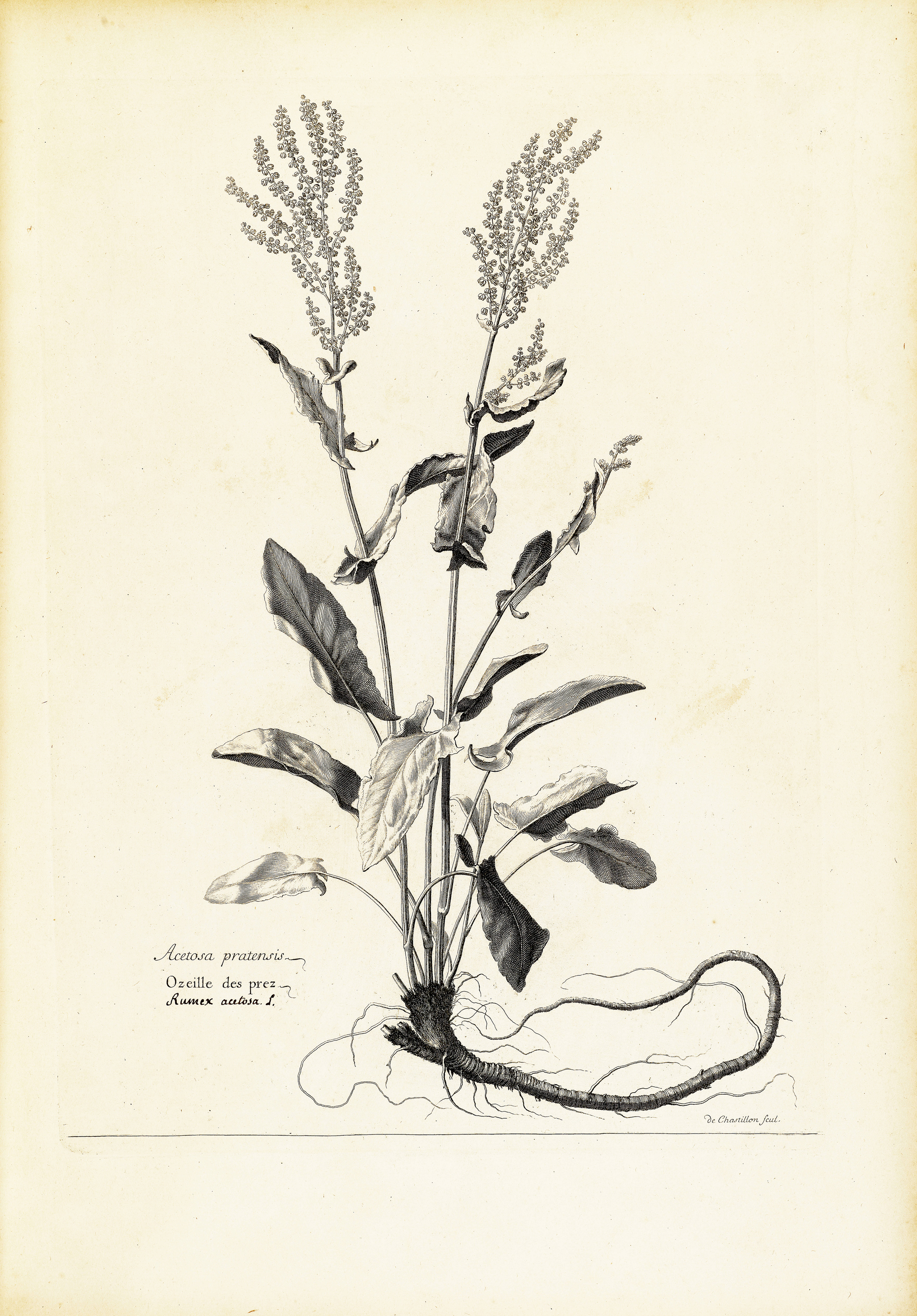 no full size  illustration available (3a)