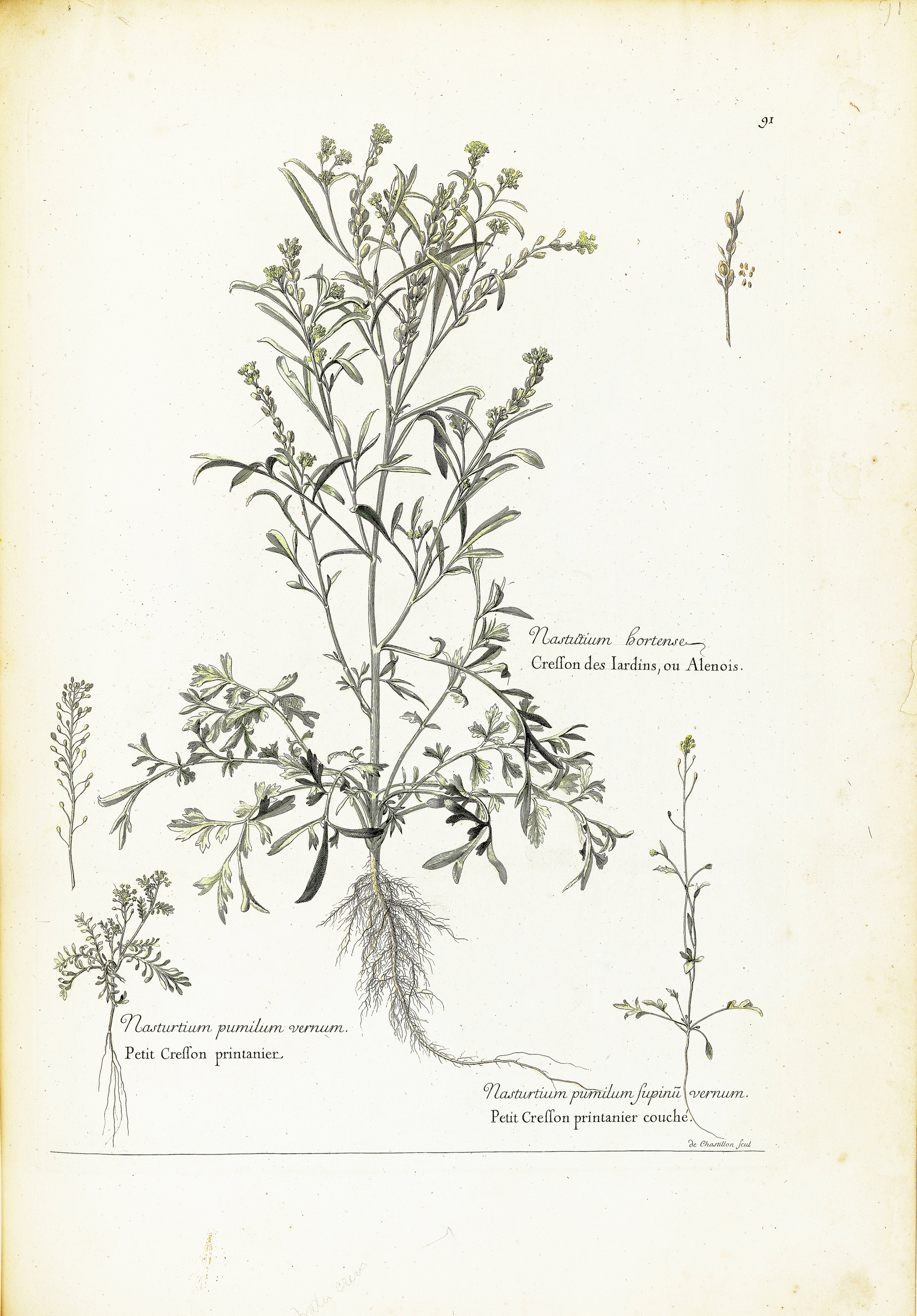 no full size  illustration available (3a)