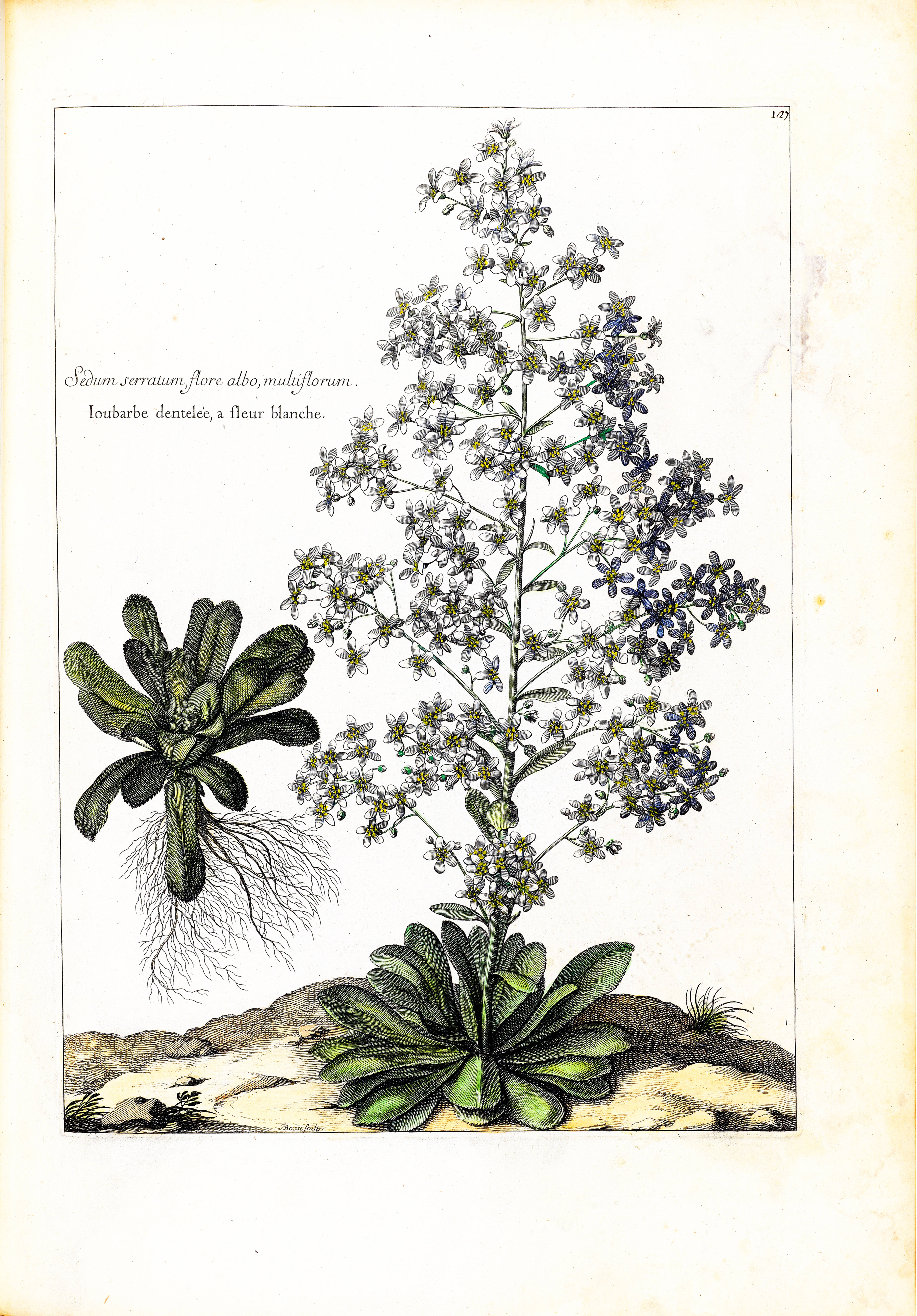 no full size  illustration available (3a)