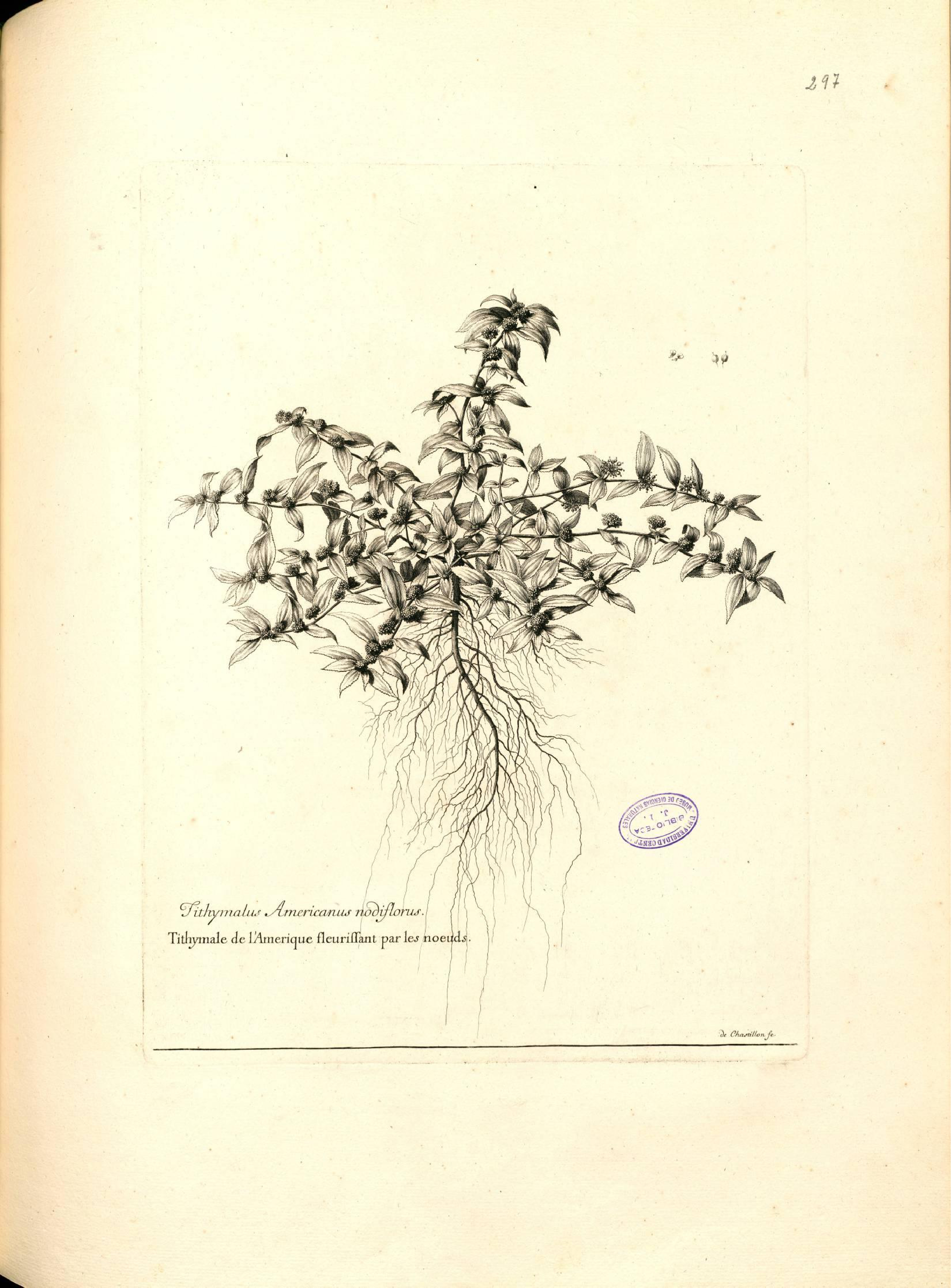 no full size  illustration available (3a)