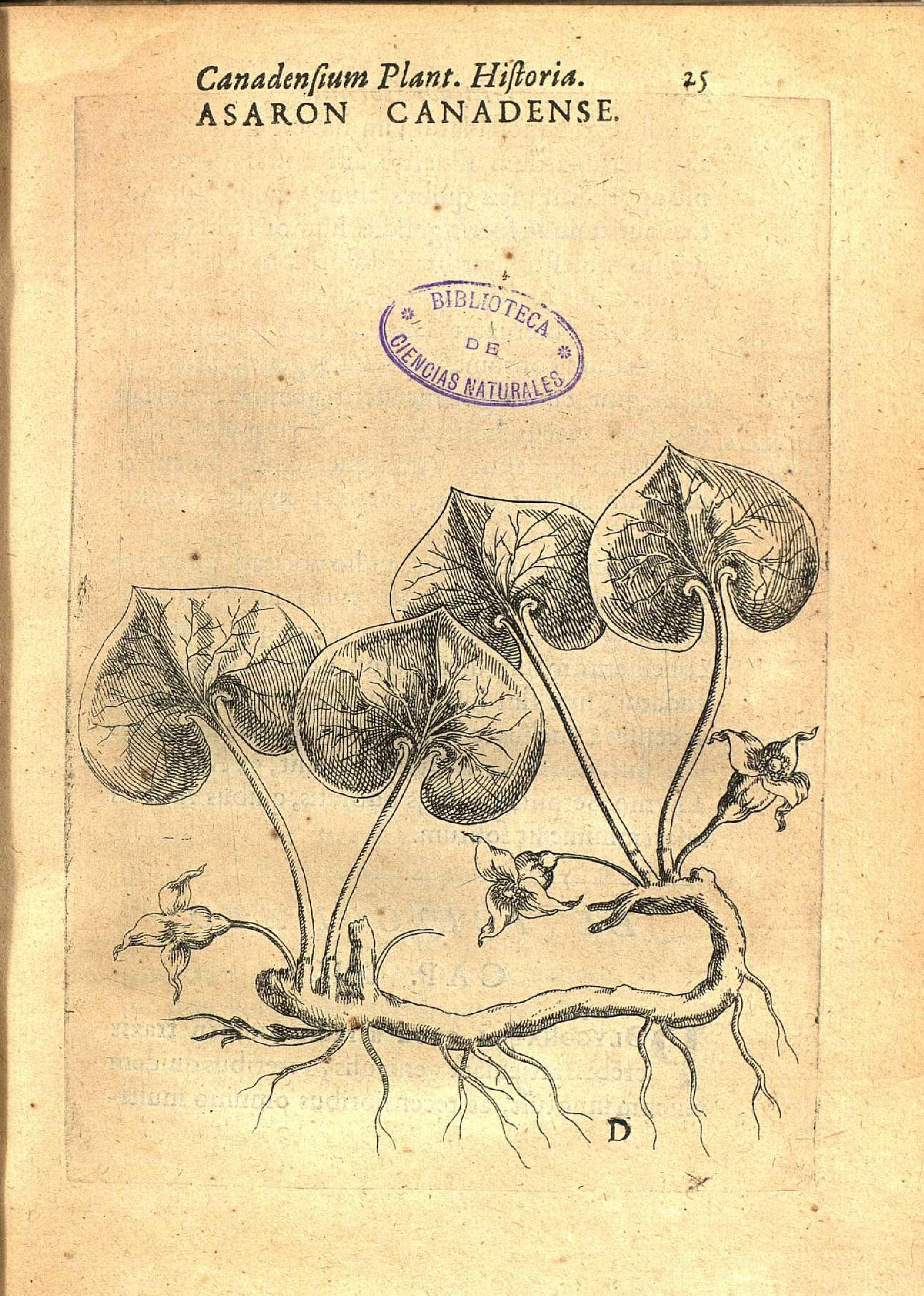 no full size  illustration available (3a)