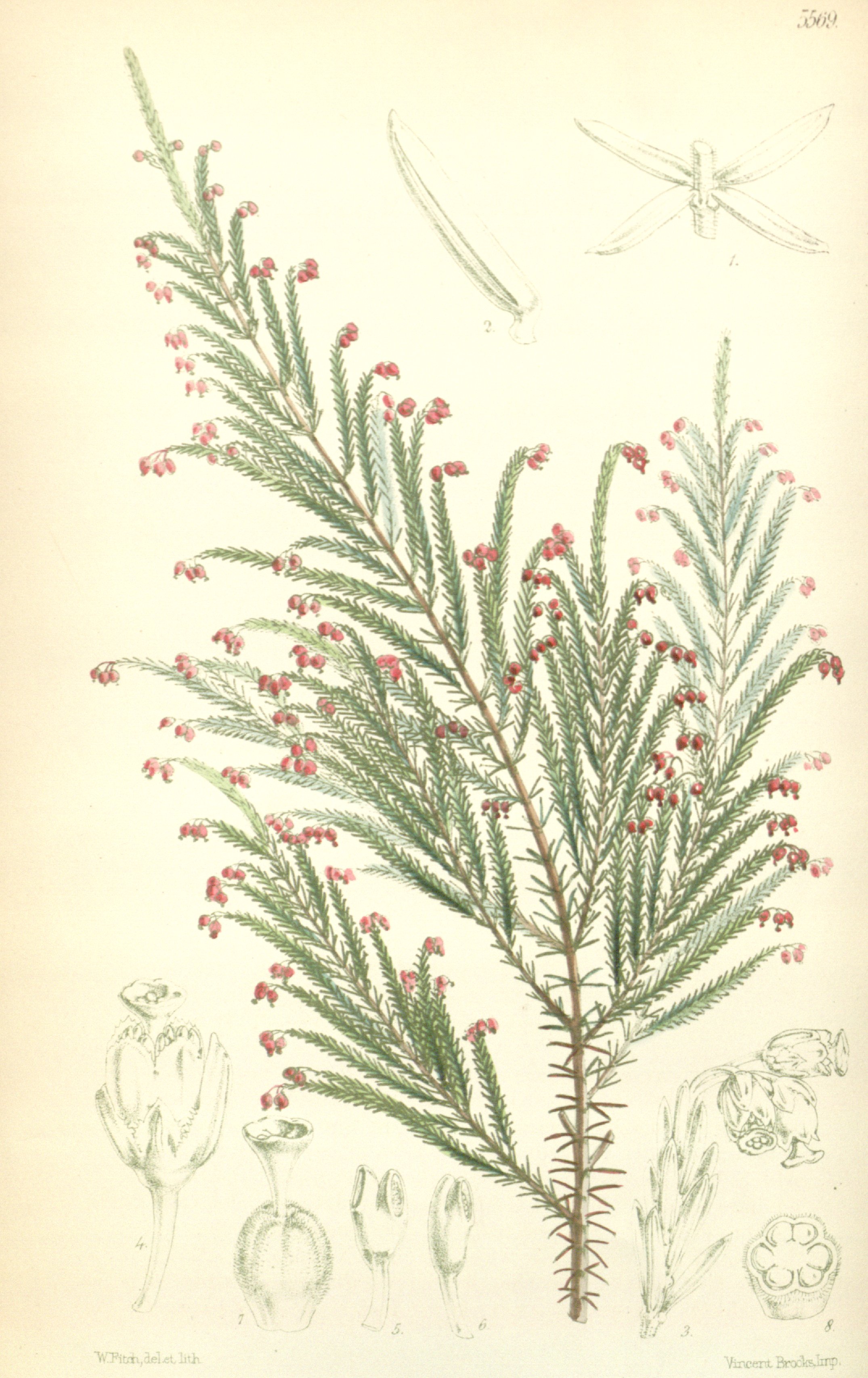 no full size  illustration available (3a)