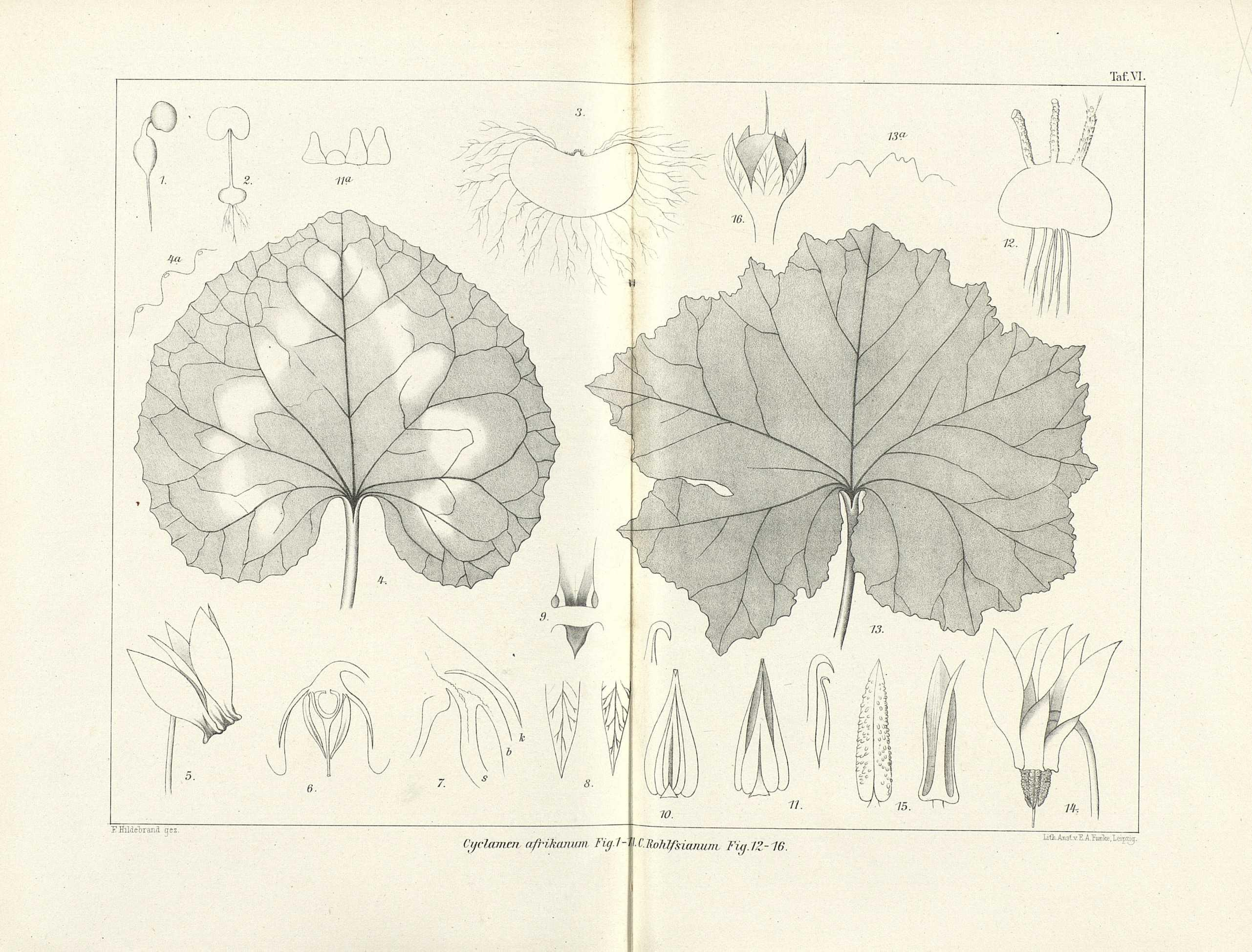 no full size  illustration available (3a)