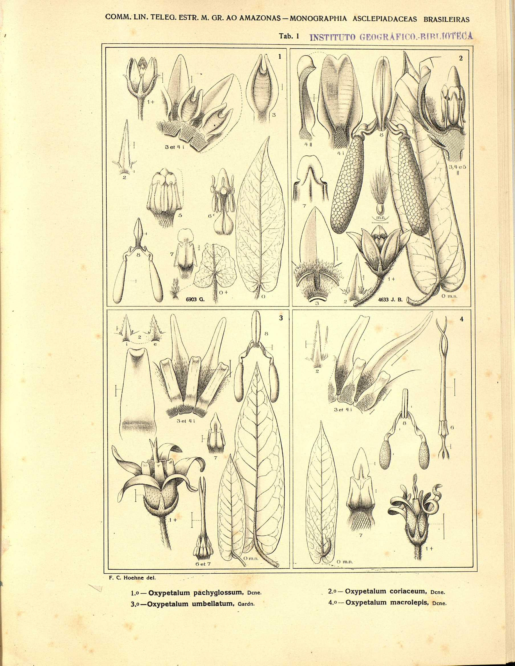 no full size  illustration available (3a)