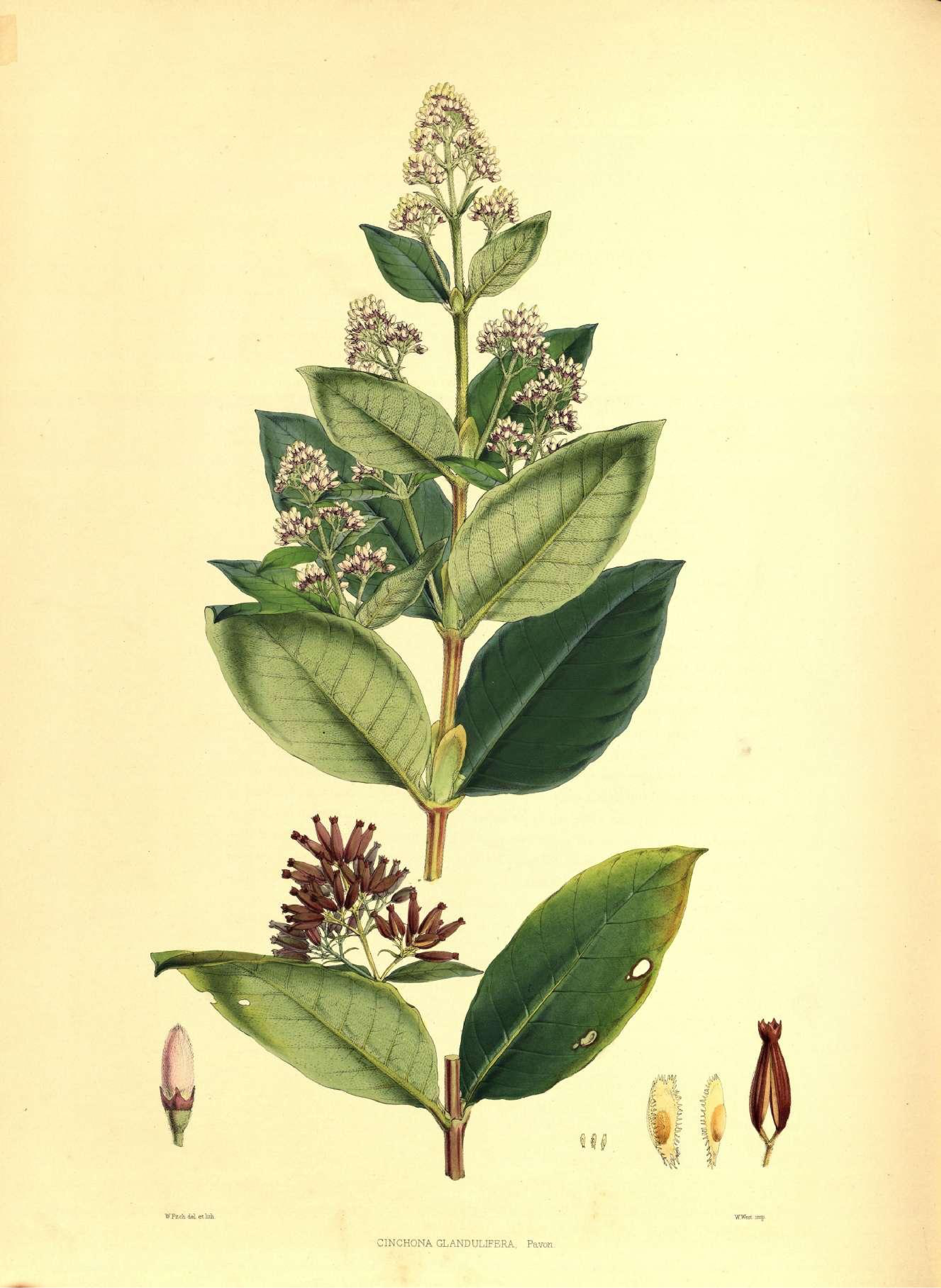 no full size  illustration available (3a)