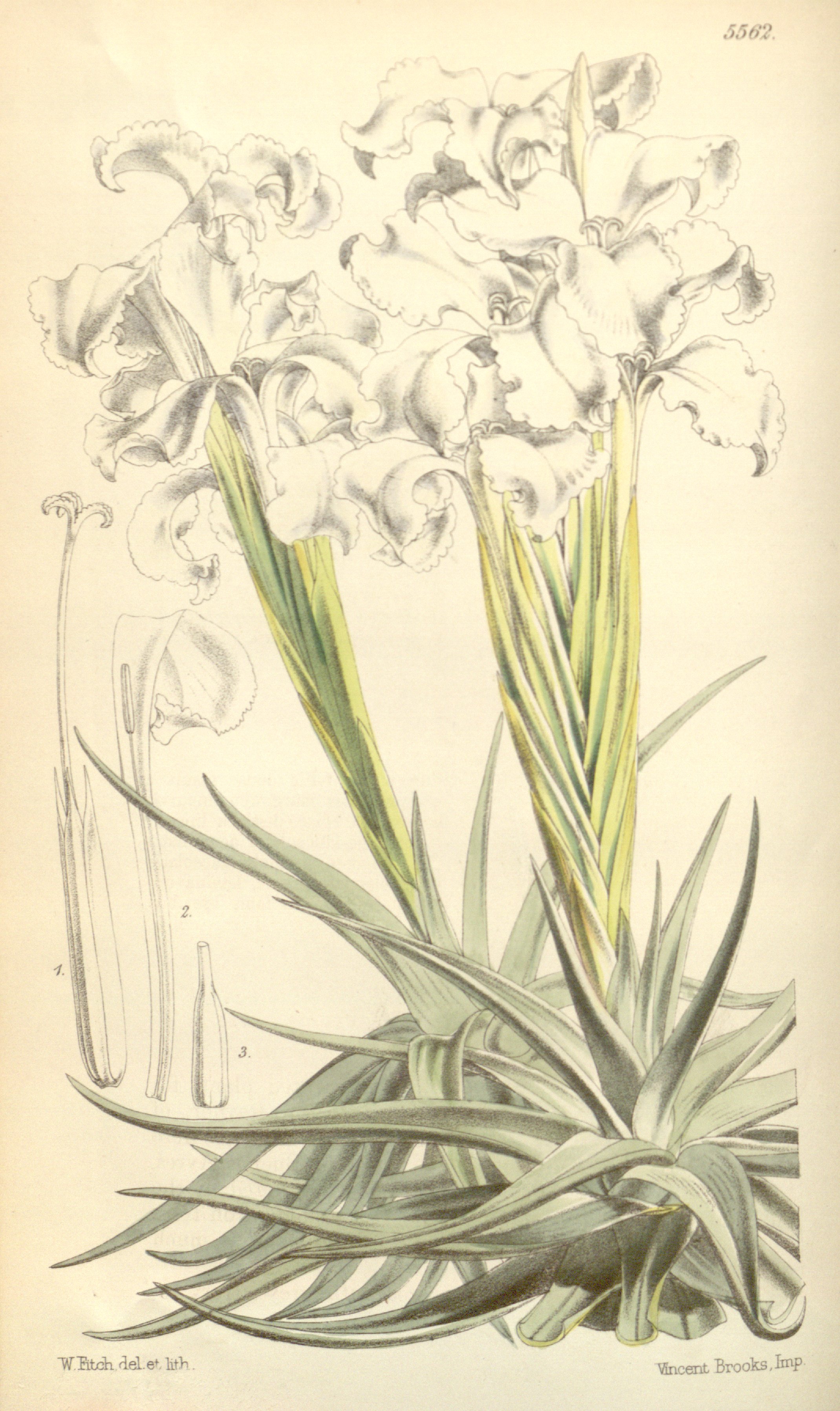 no full size  illustration available (3a)