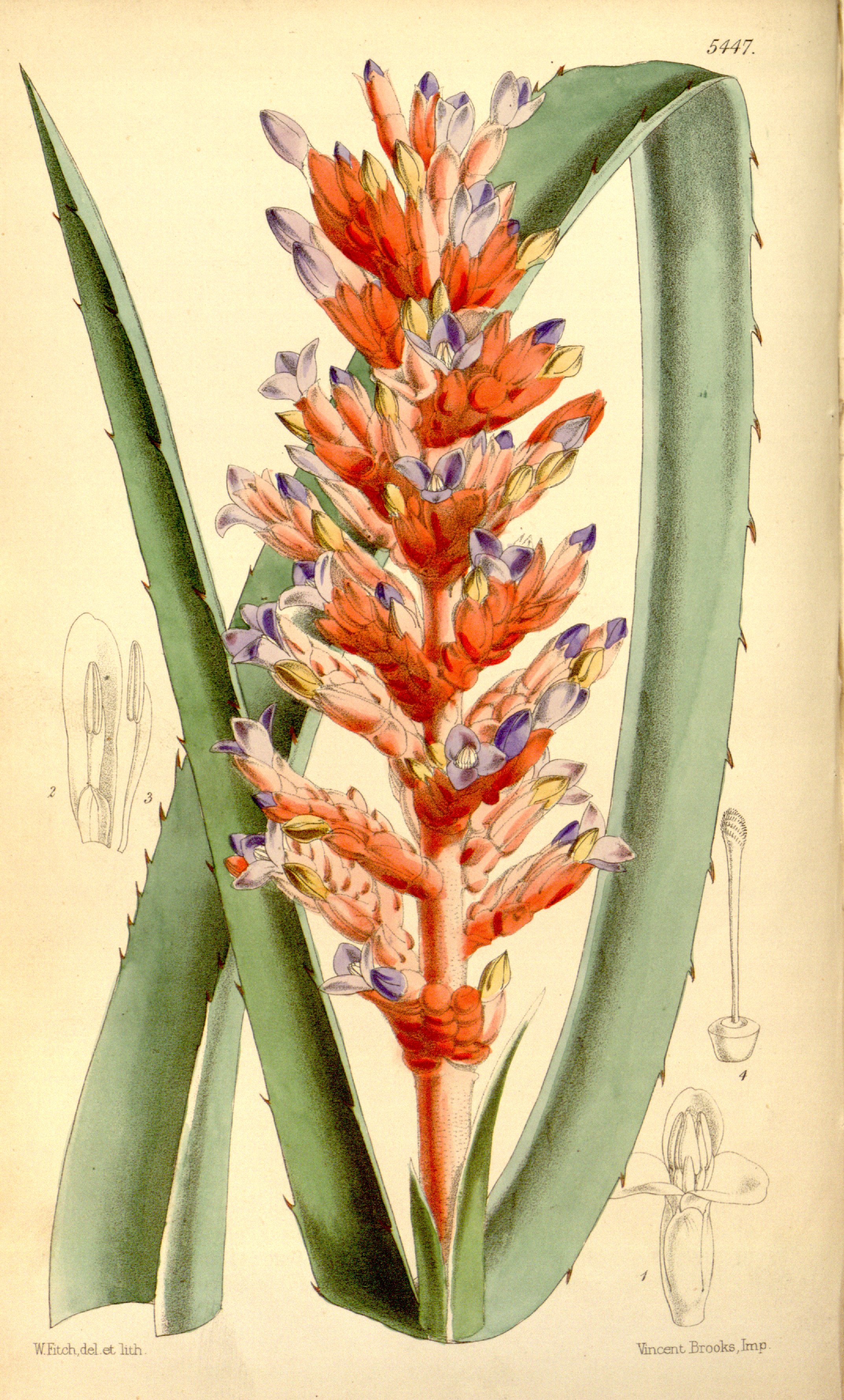 no full size  illustration available (3a)