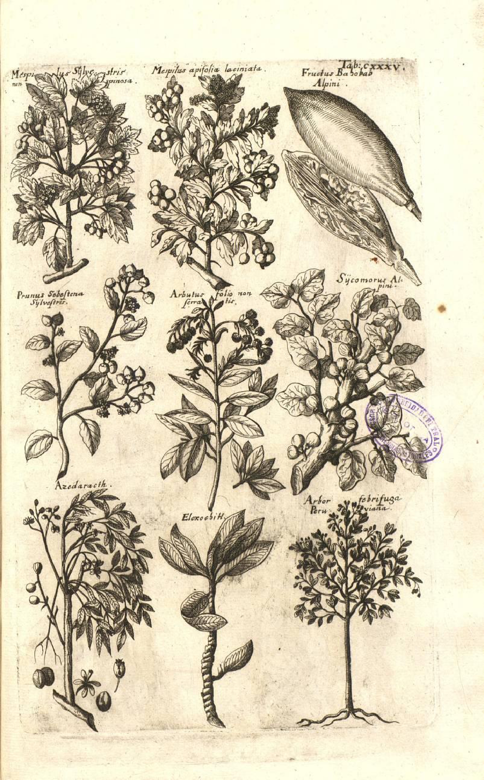 no full size  illustration available (3a)