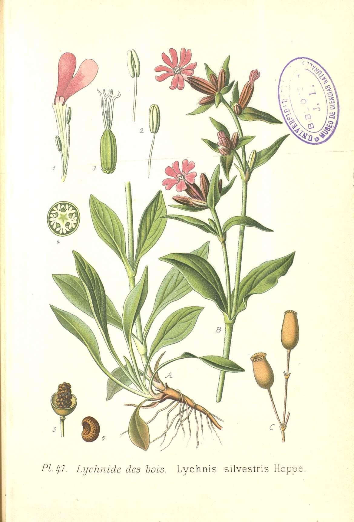 no full size  illustration available (3a)