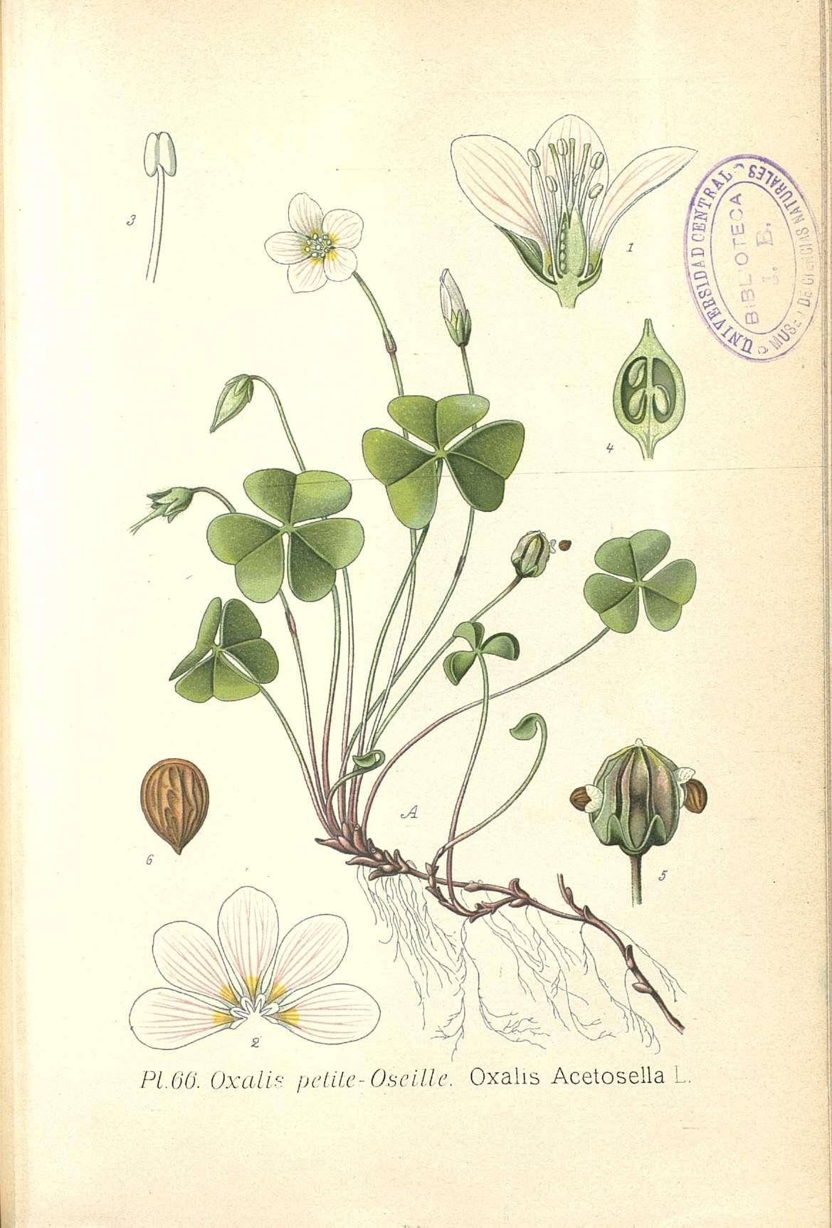 no full size  illustration available (3a)