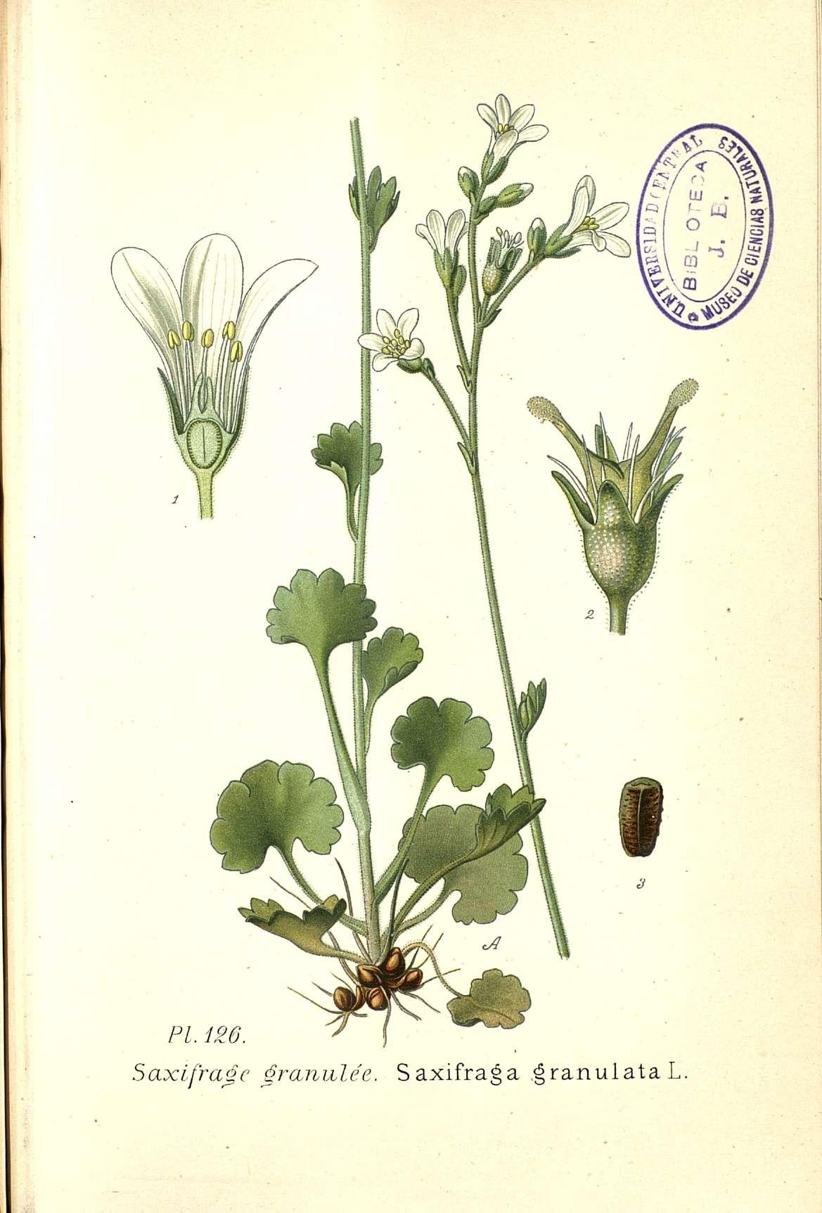 no full size  illustration available (3a)