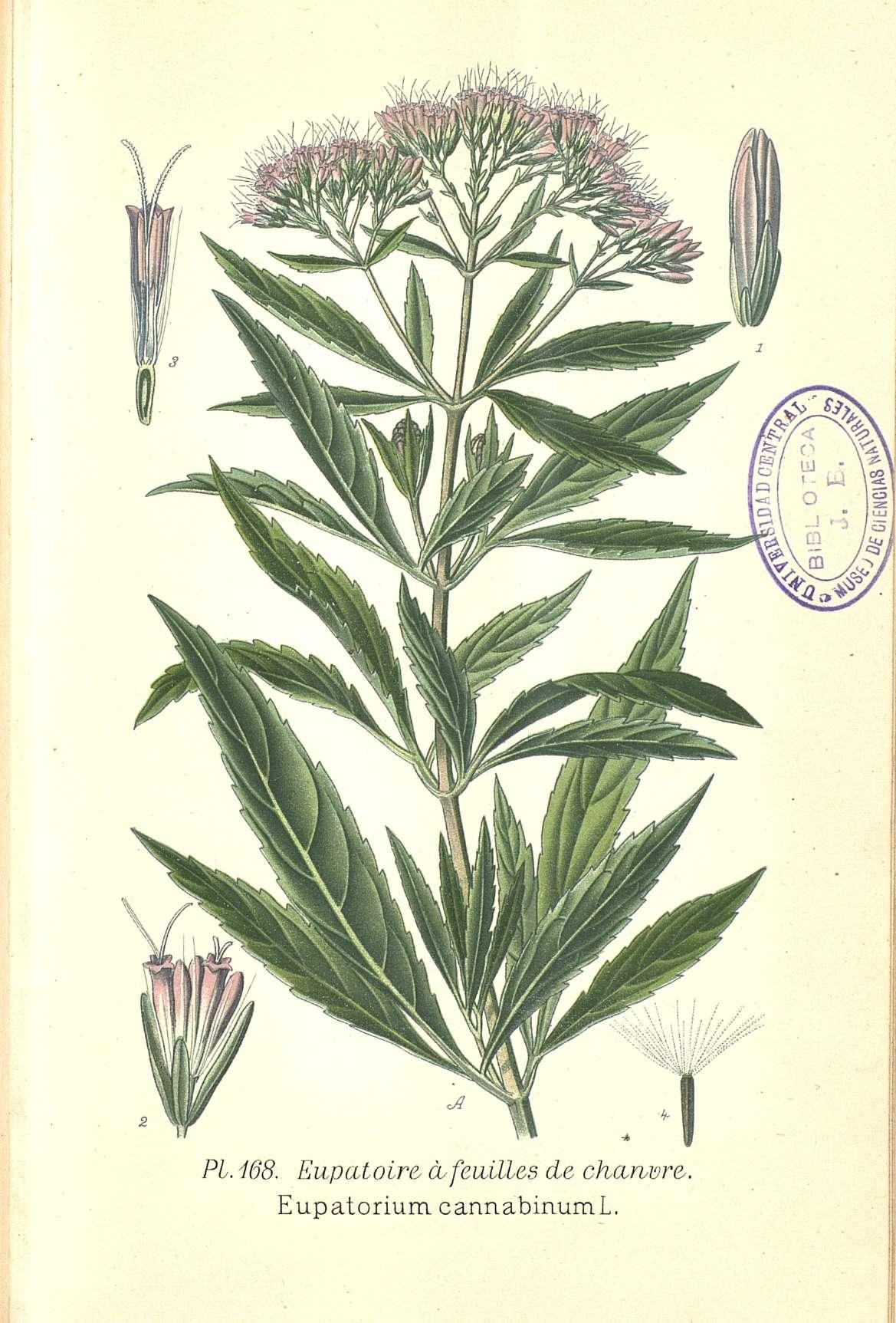 no full size  illustration available (3a)