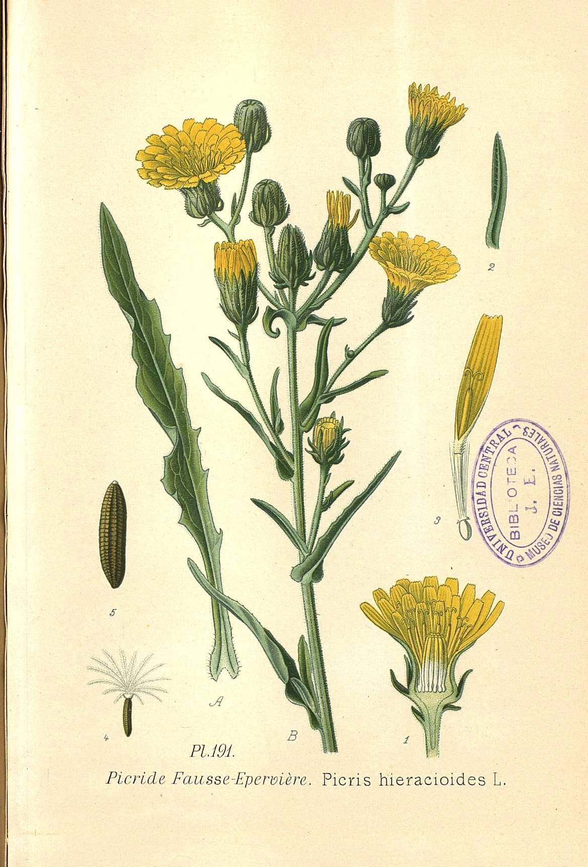 no full size  illustration available (3a)