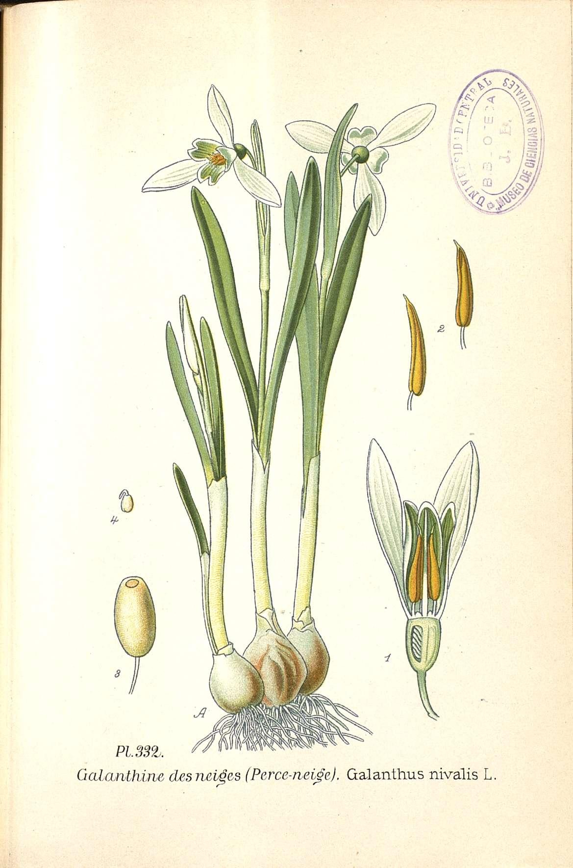 no full size  illustration available (3a)