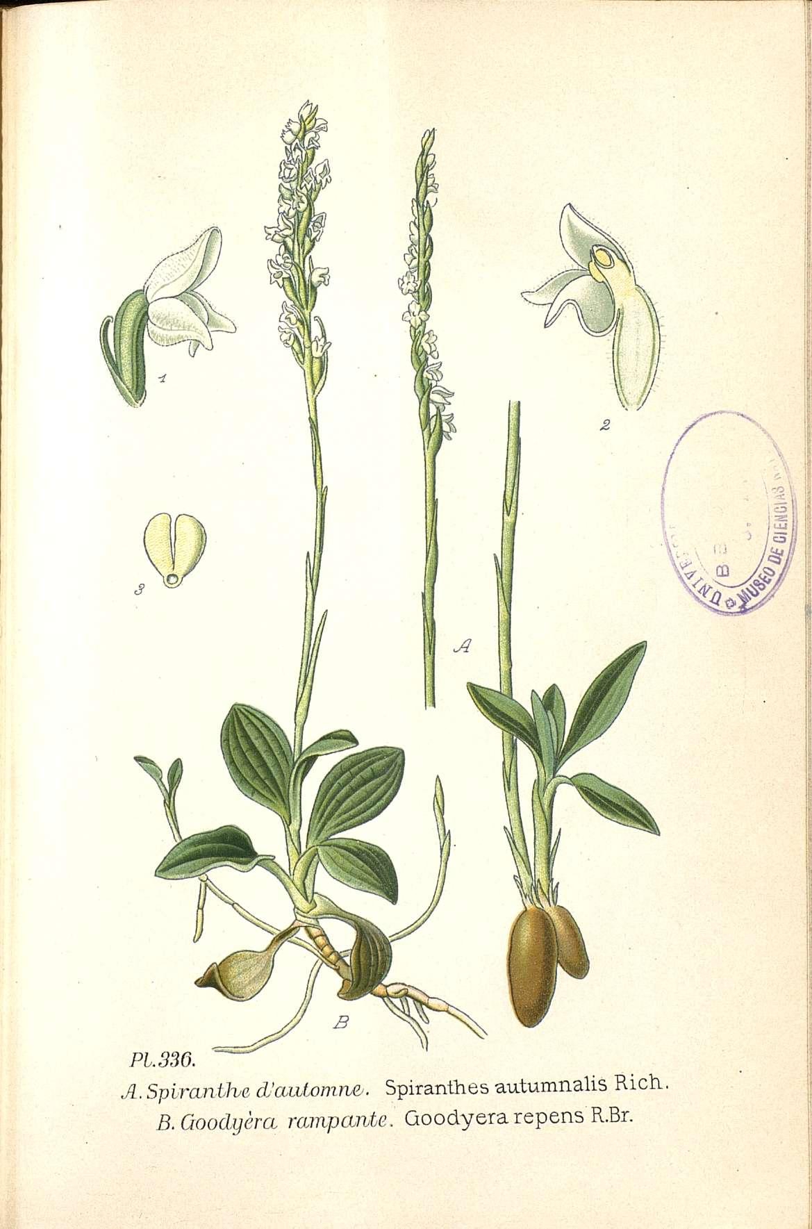 no full size  illustration available (3a)