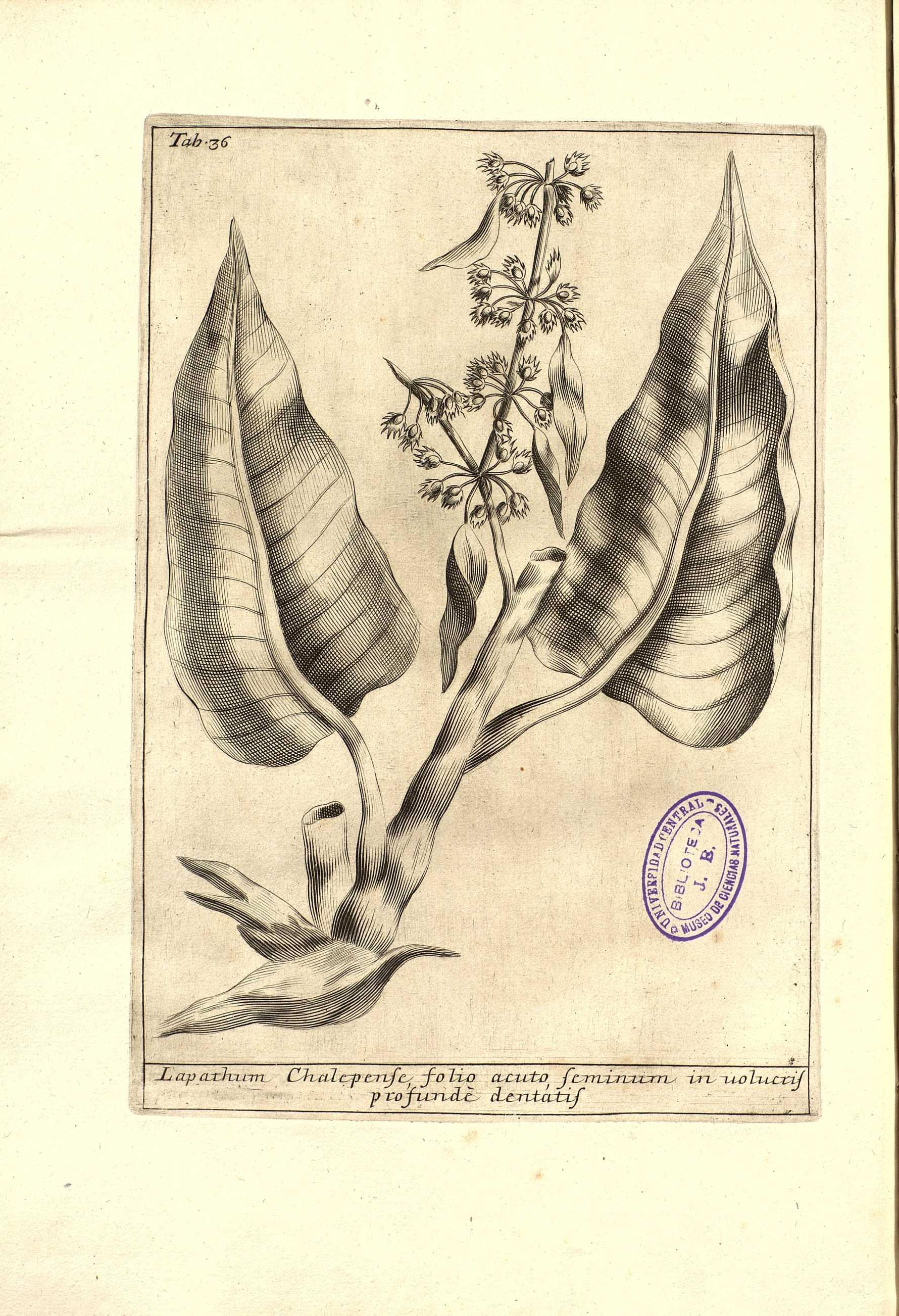 no full size  illustration available (3a)