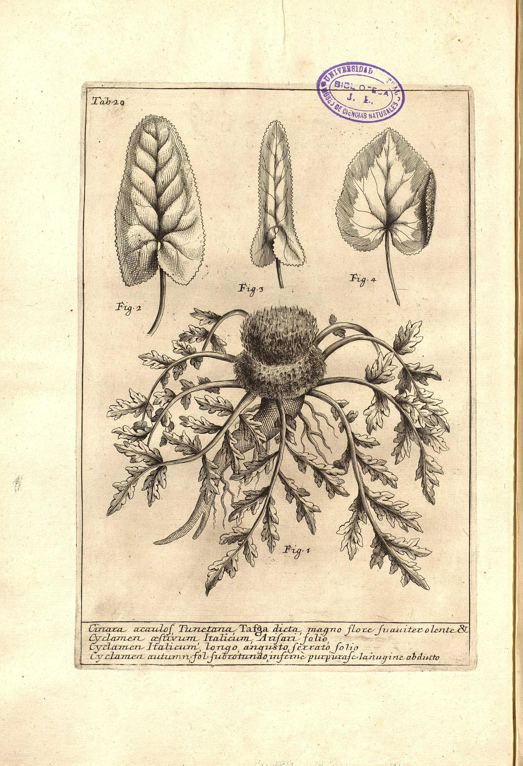 no full size  illustration available (3a)