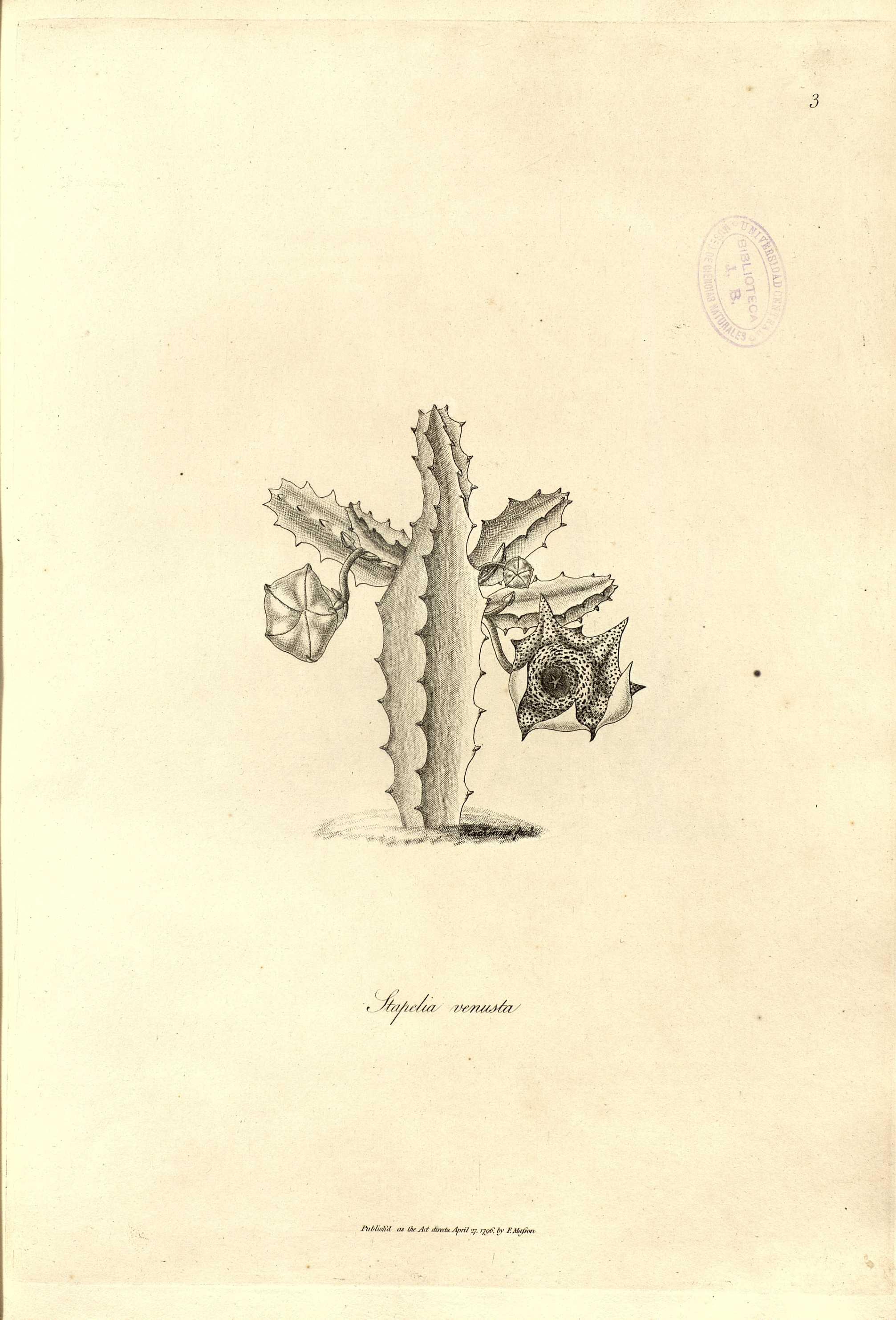 no full size  illustration available (3a)