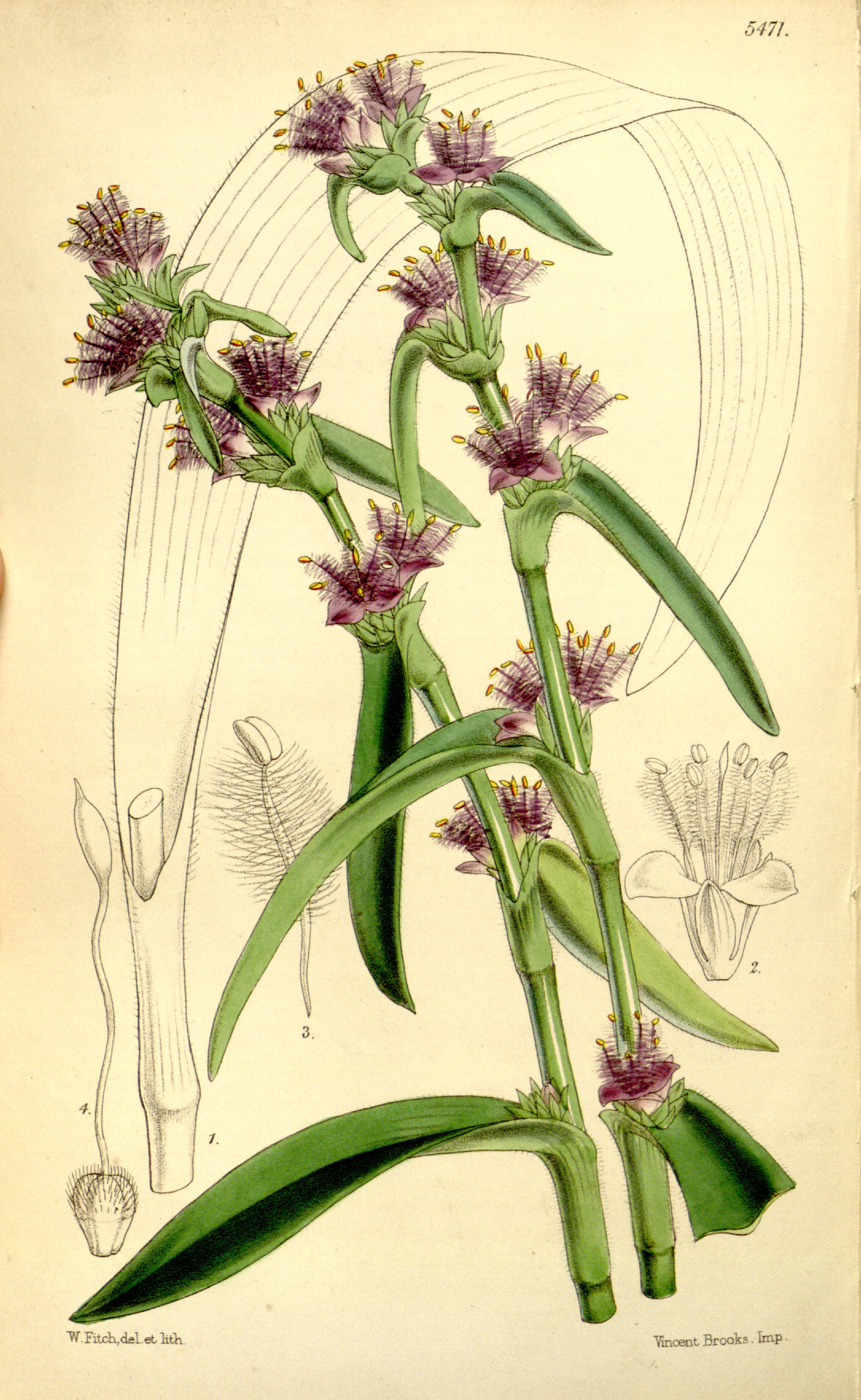 no full size  illustration available (3a)