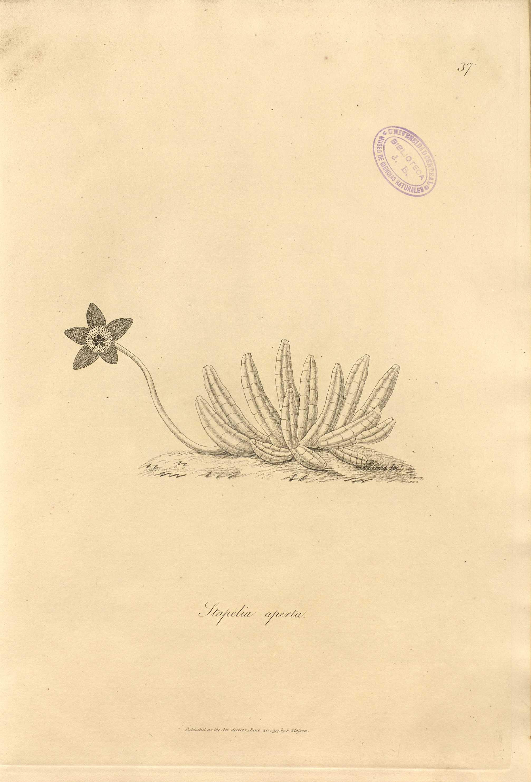 no full size  illustration available (3a)