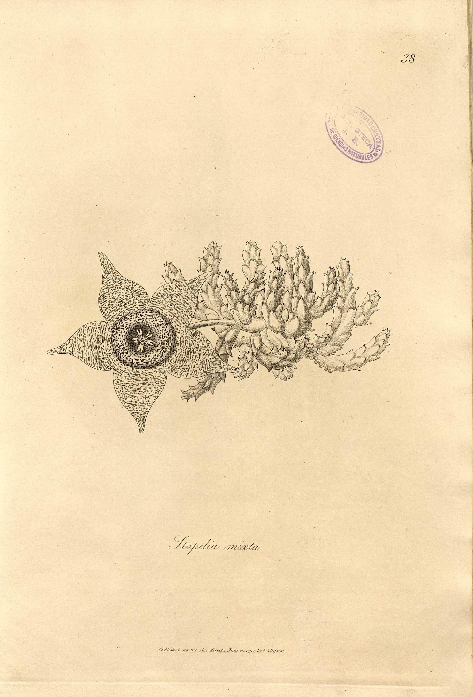 no full size  illustration available (3a)