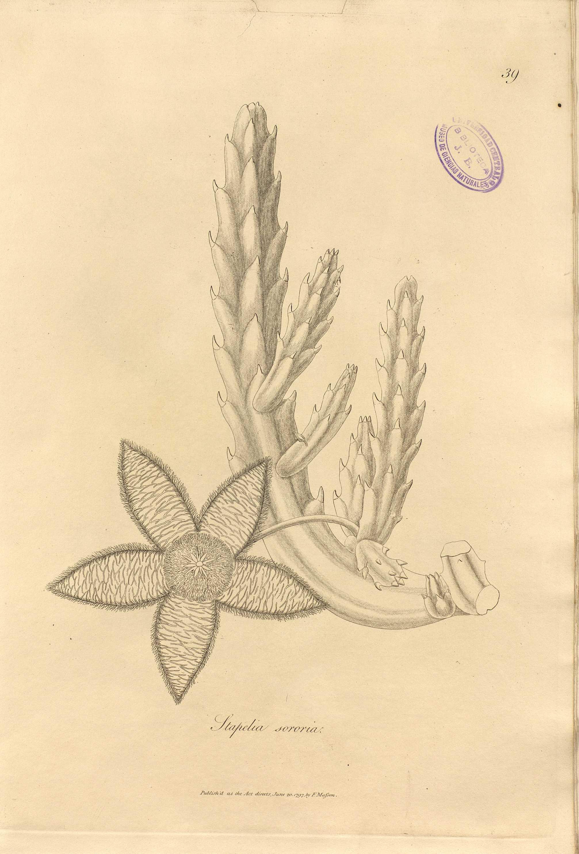 no full size  illustration available (3a)