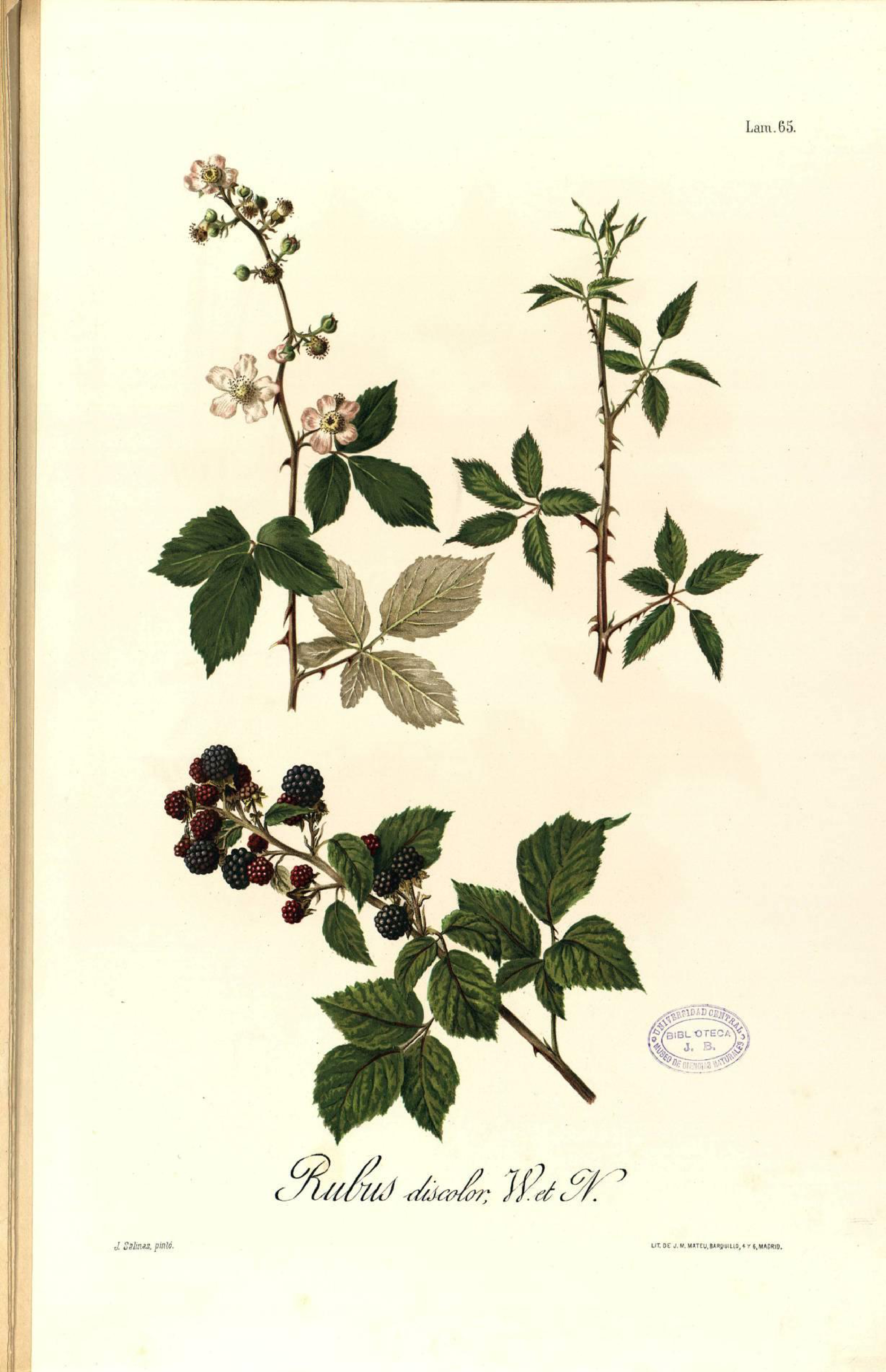 no full size  illustration available (3a)