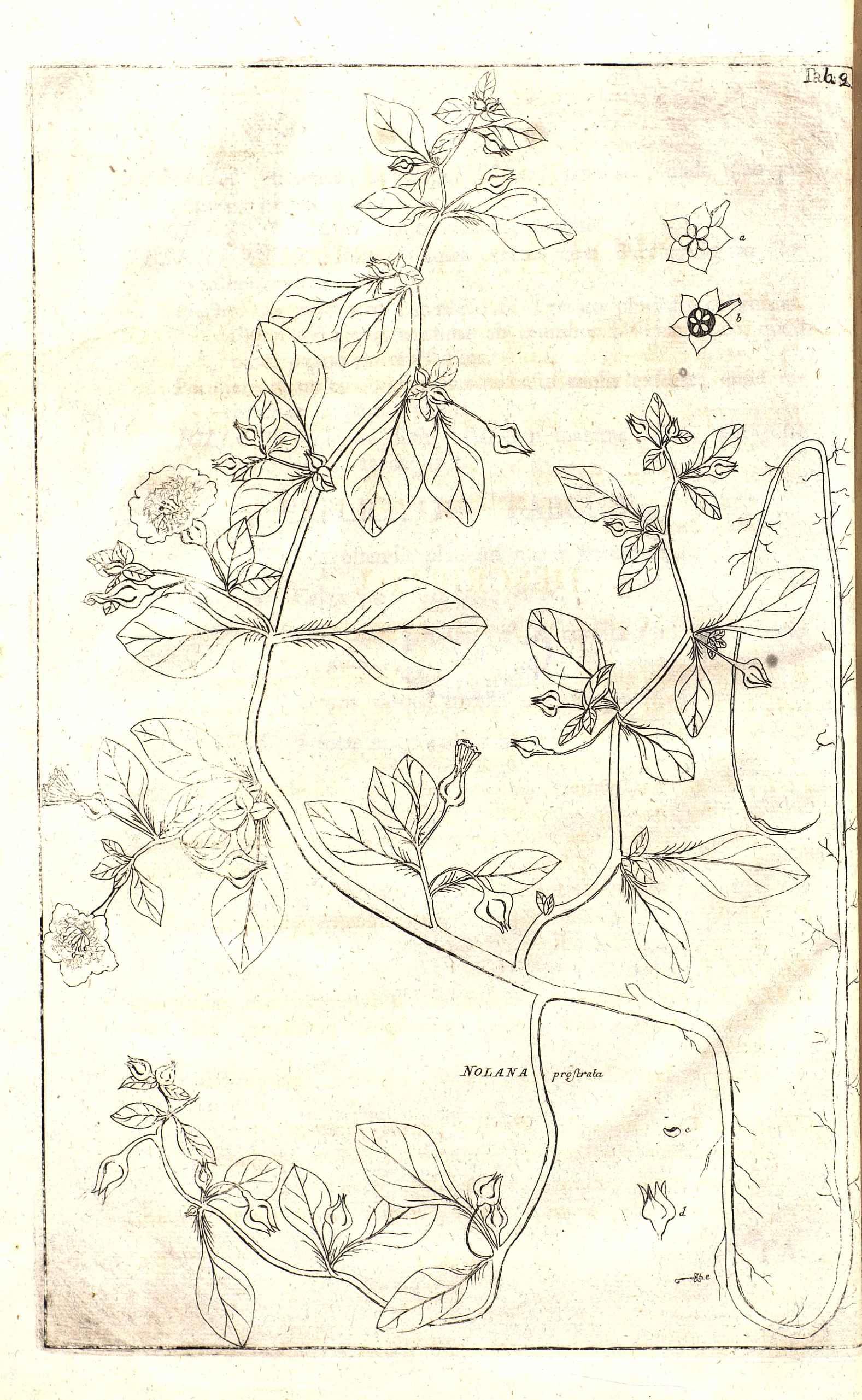 no full size  illustration available (3a)