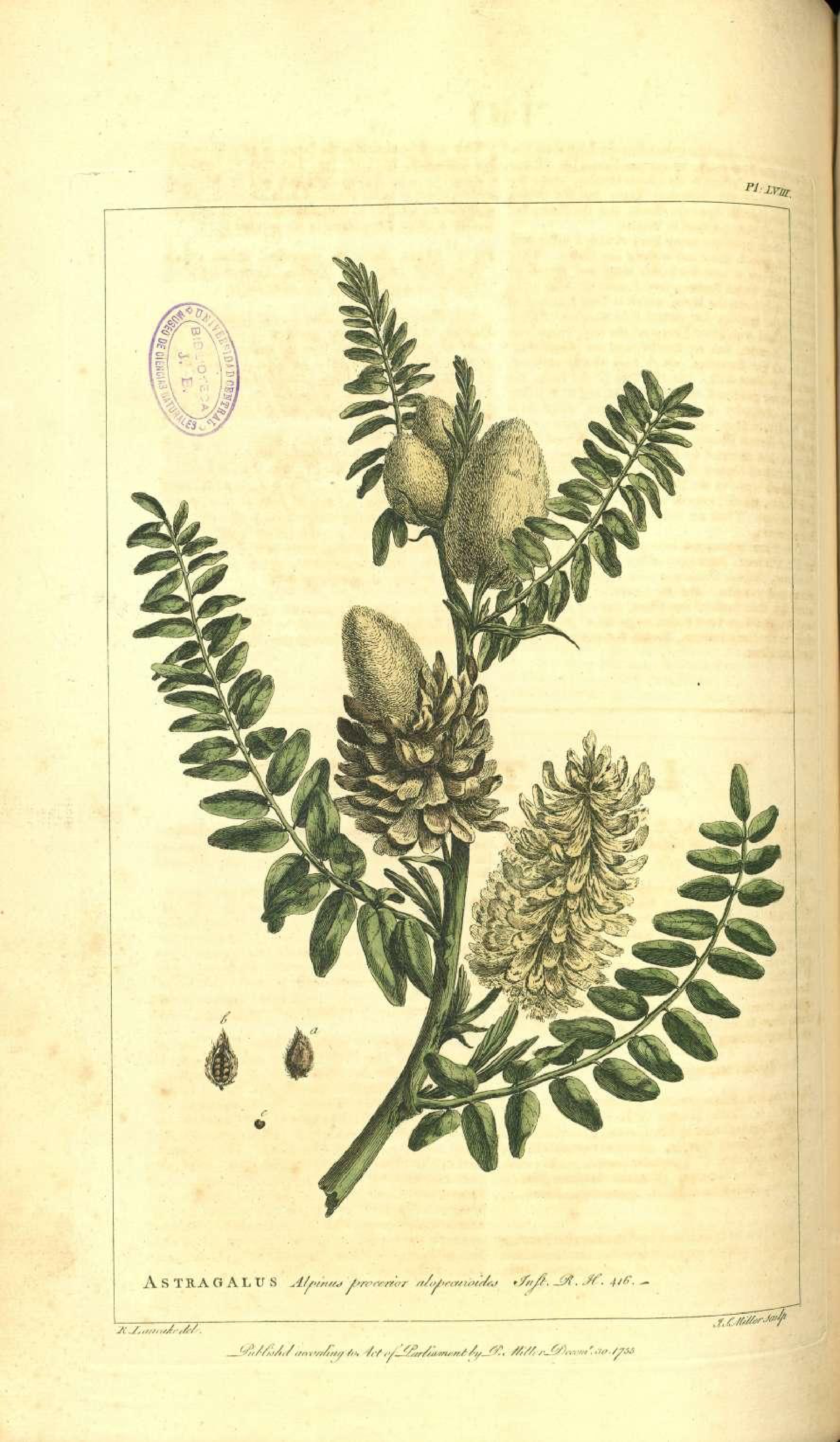 no full size  illustration available (3a)