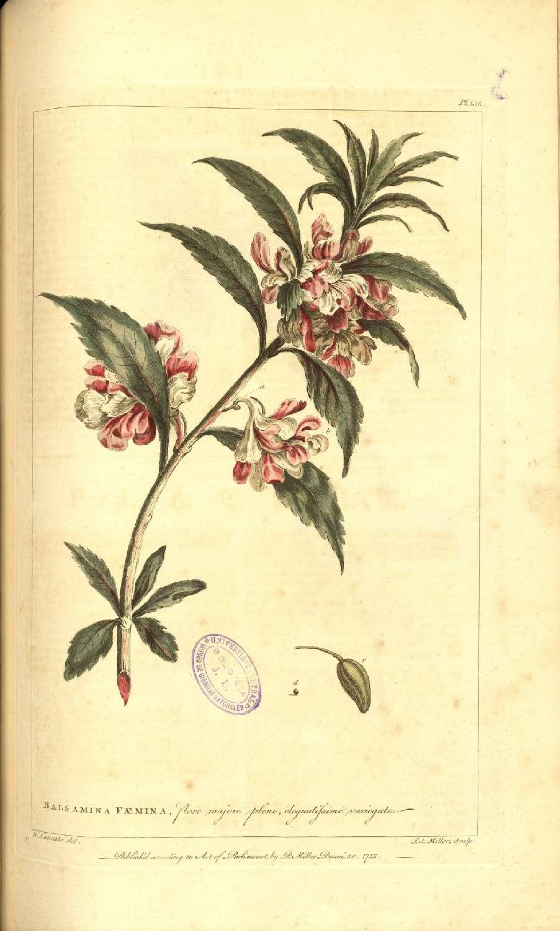 no full size  illustration available (3a)