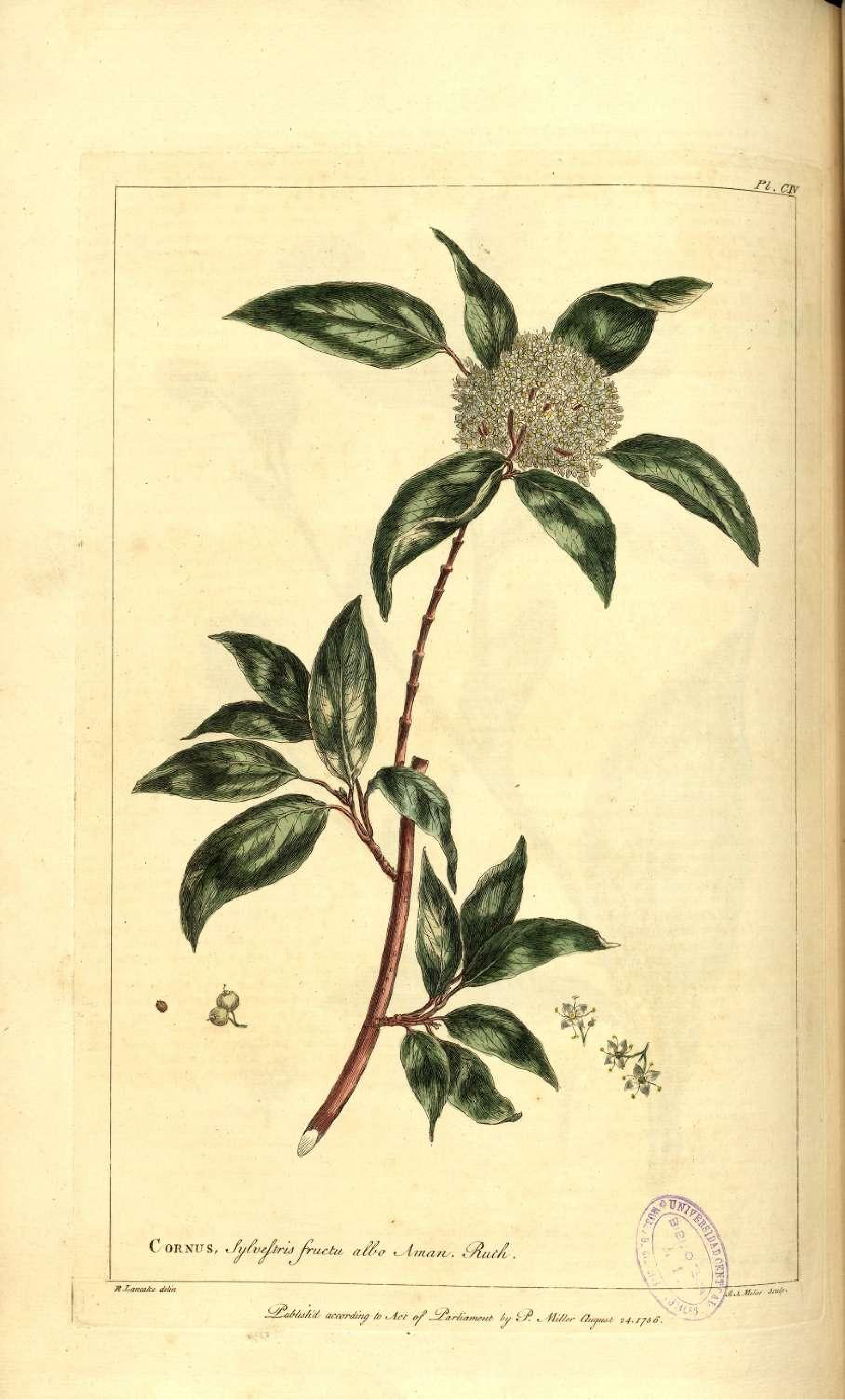 no full size  illustration available (3a)