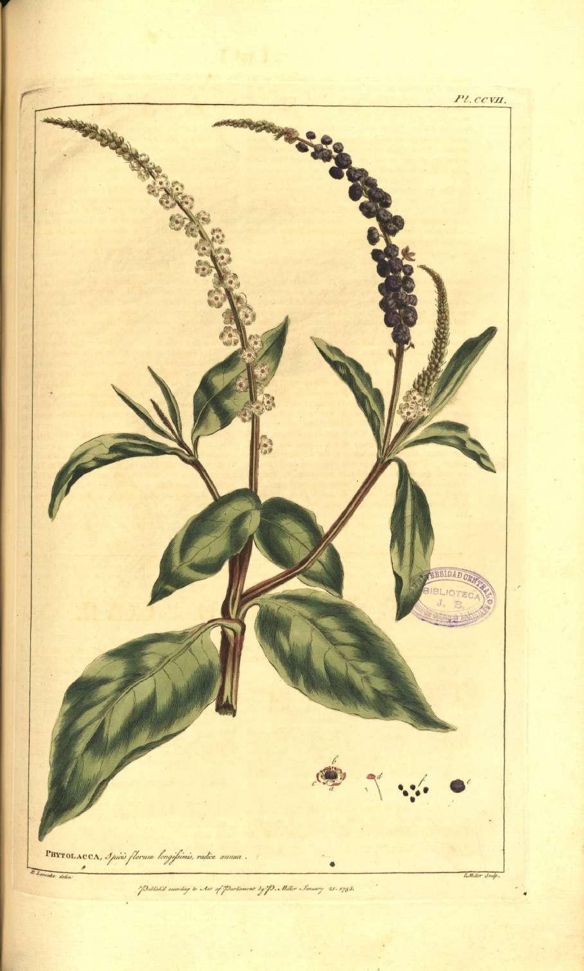 no full size  illustration available (3a)