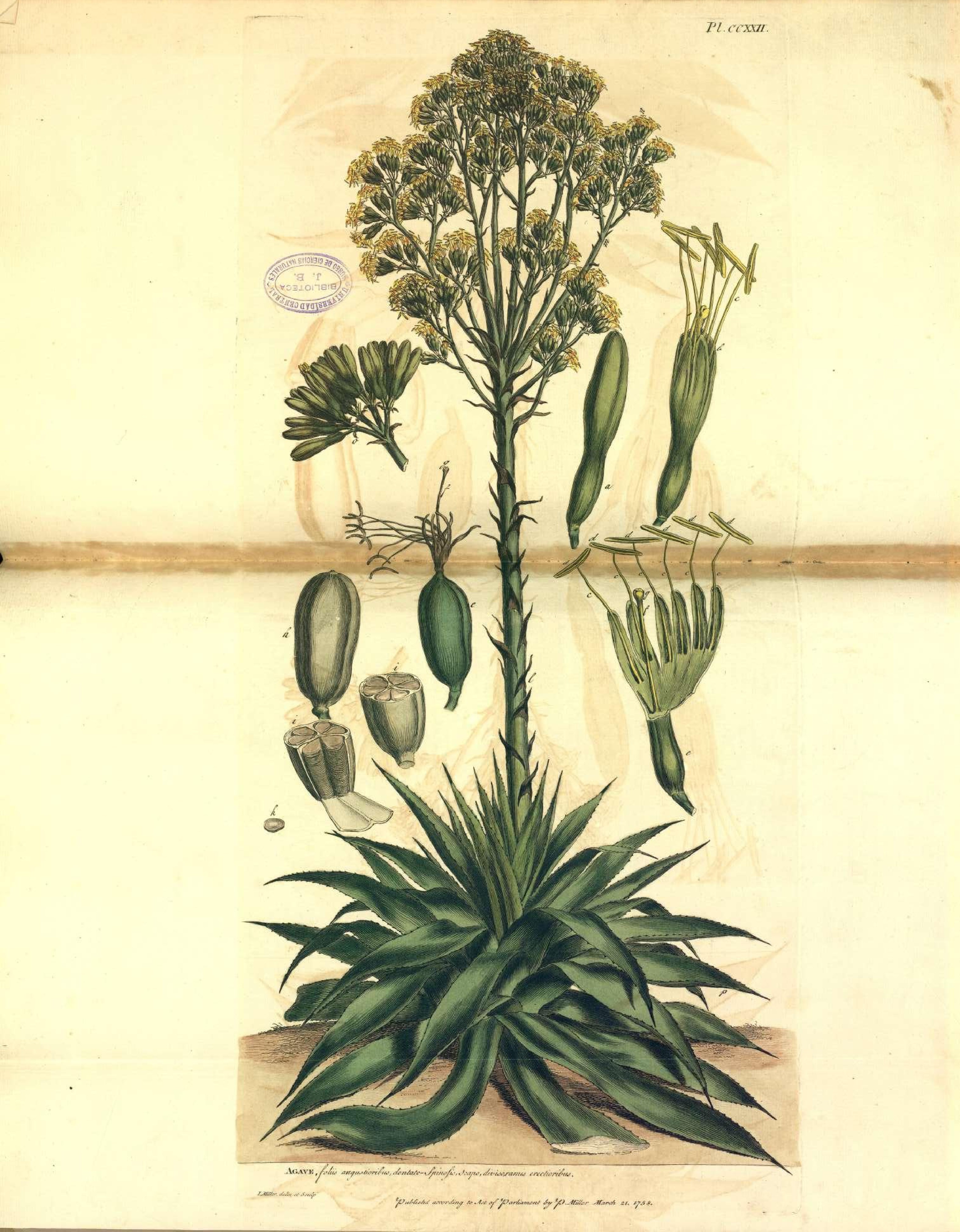 no full size  illustration available (3a)