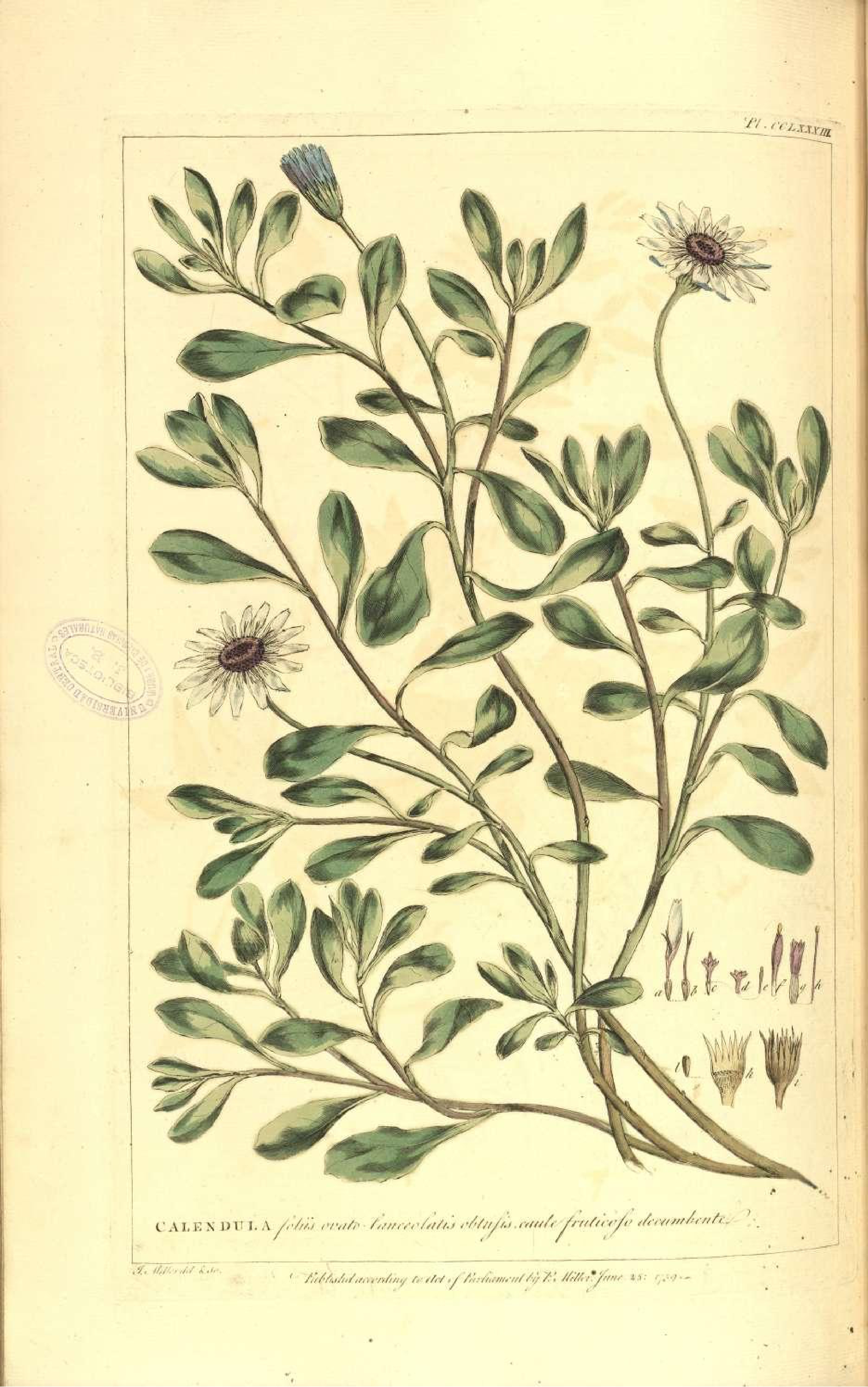 no full size  illustration available (3a)