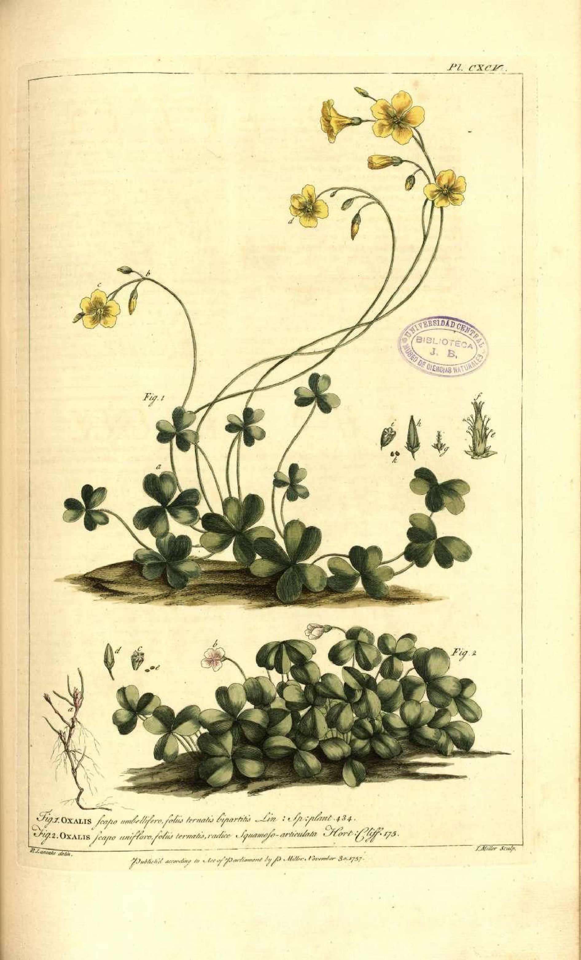 no full size  illustration available (3a)