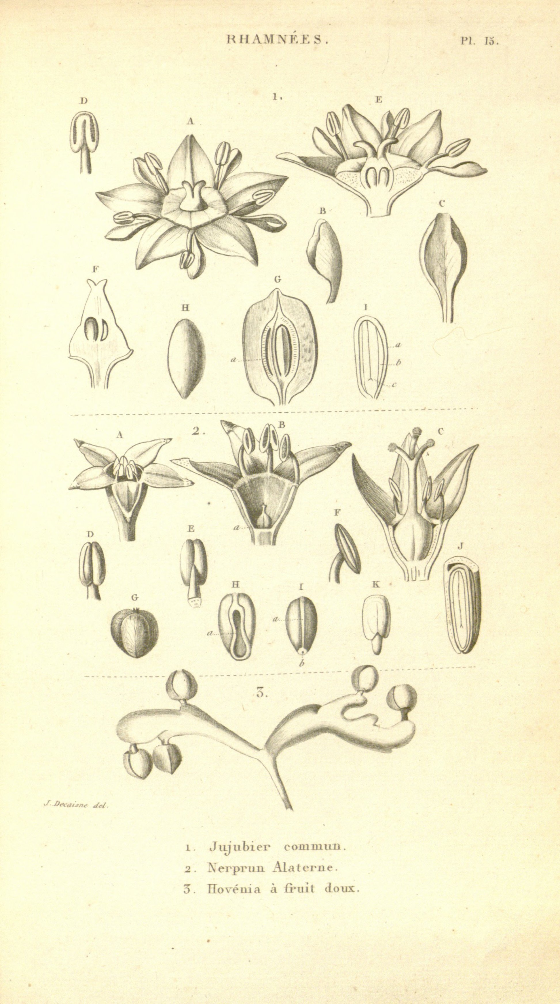 no full size  illustration available (3a)