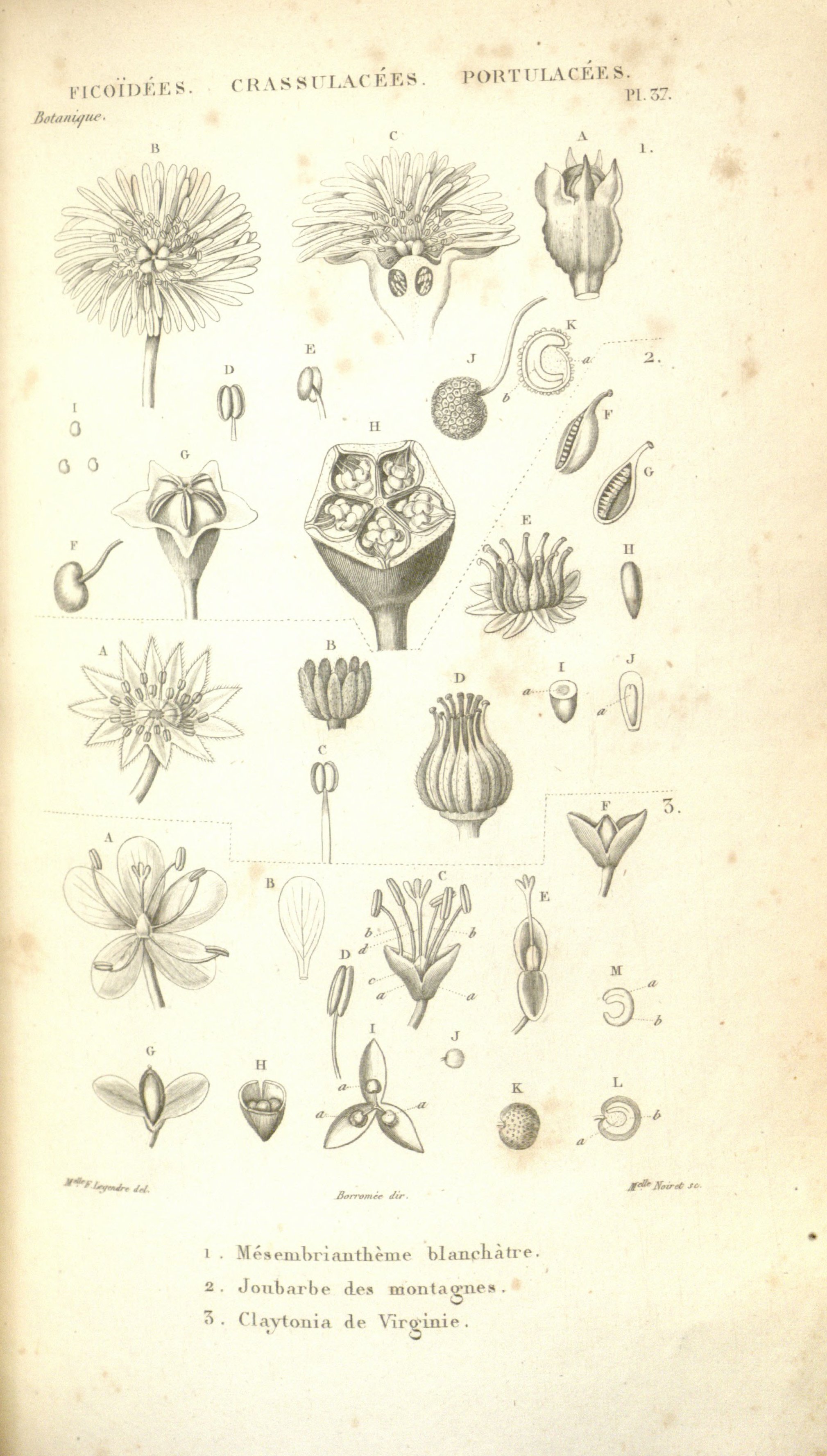 no full size  illustration available (3a)