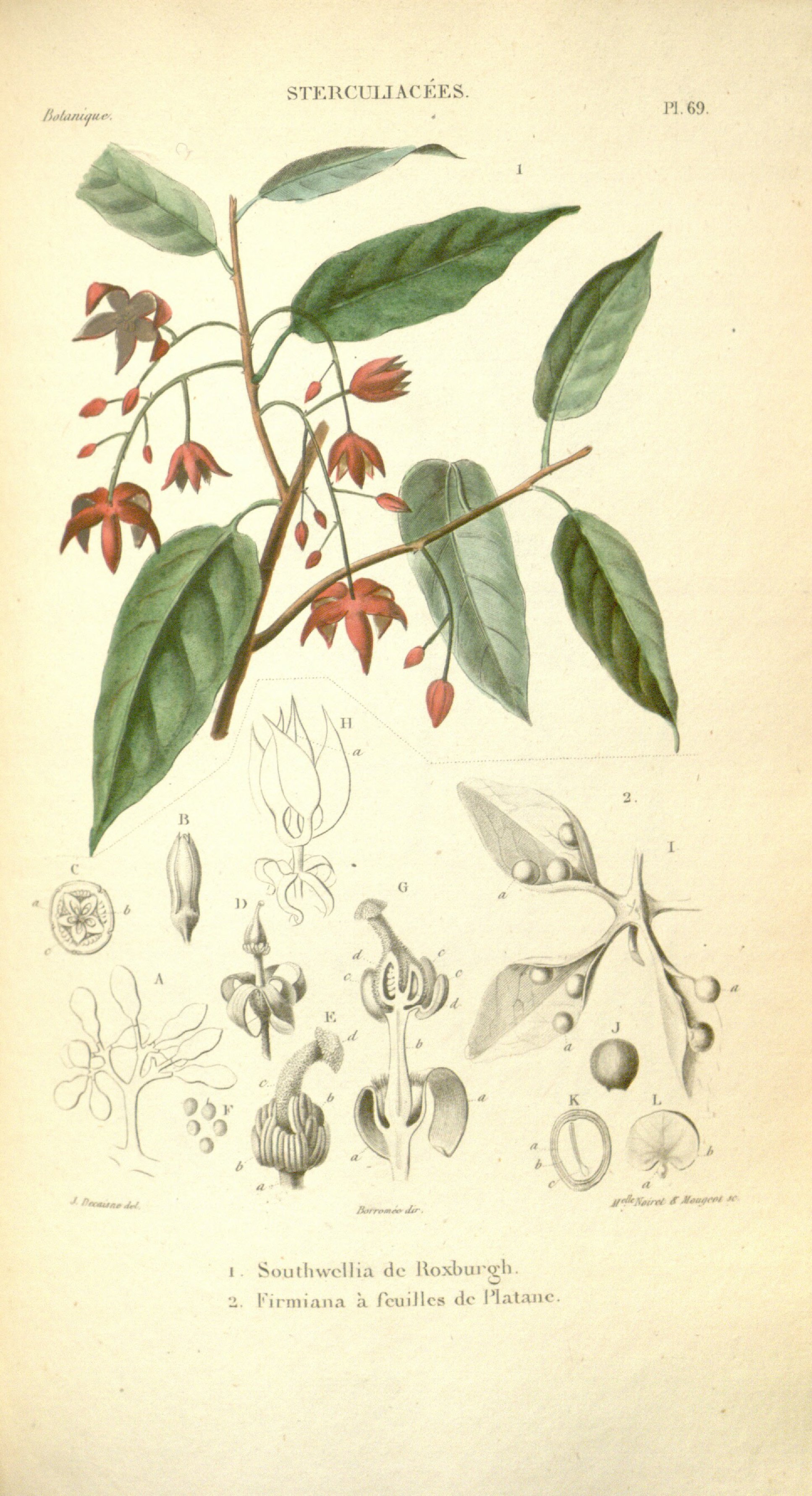 no full size  illustration available (3a)