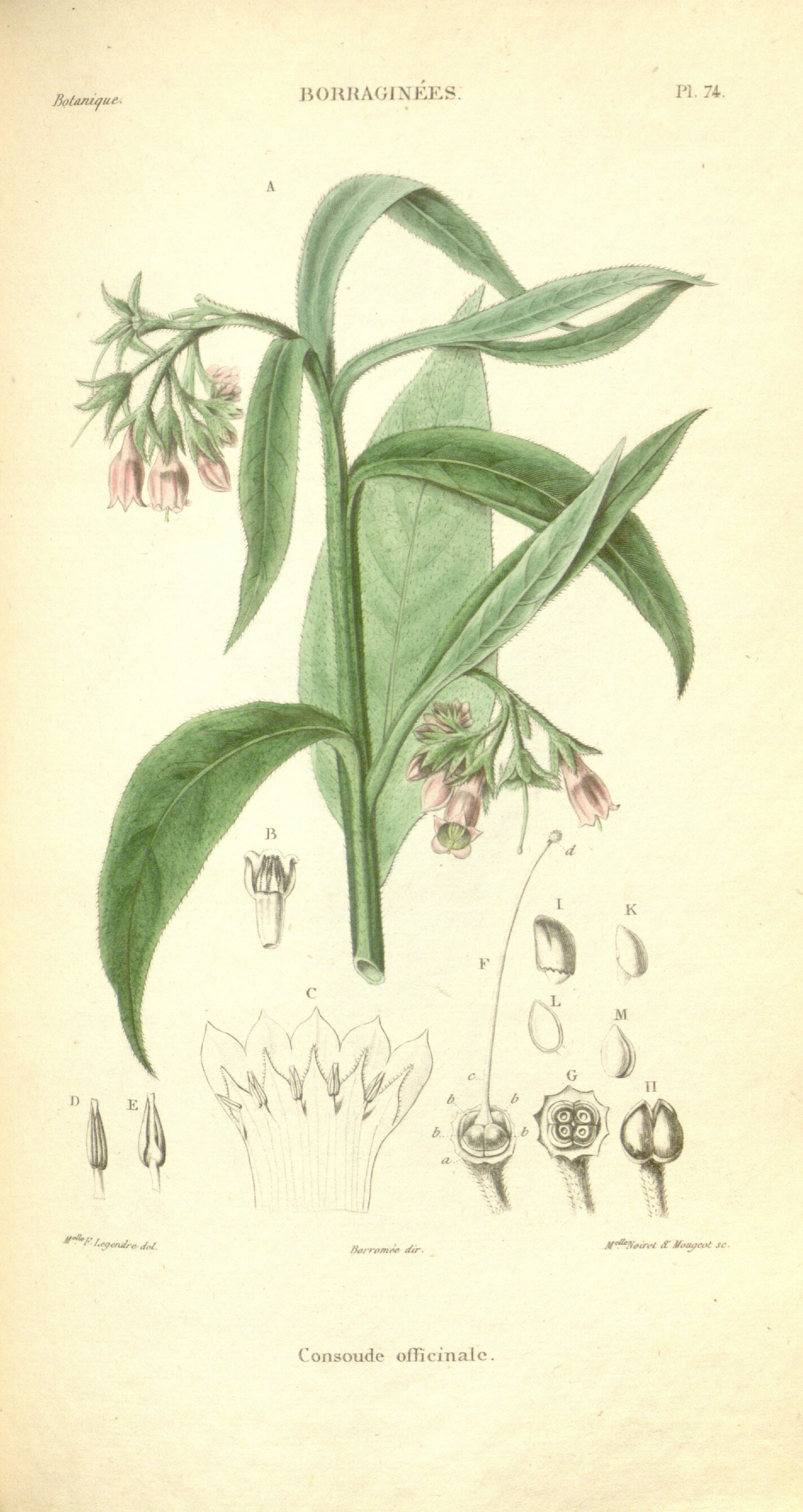 no full size  illustration available (3a)