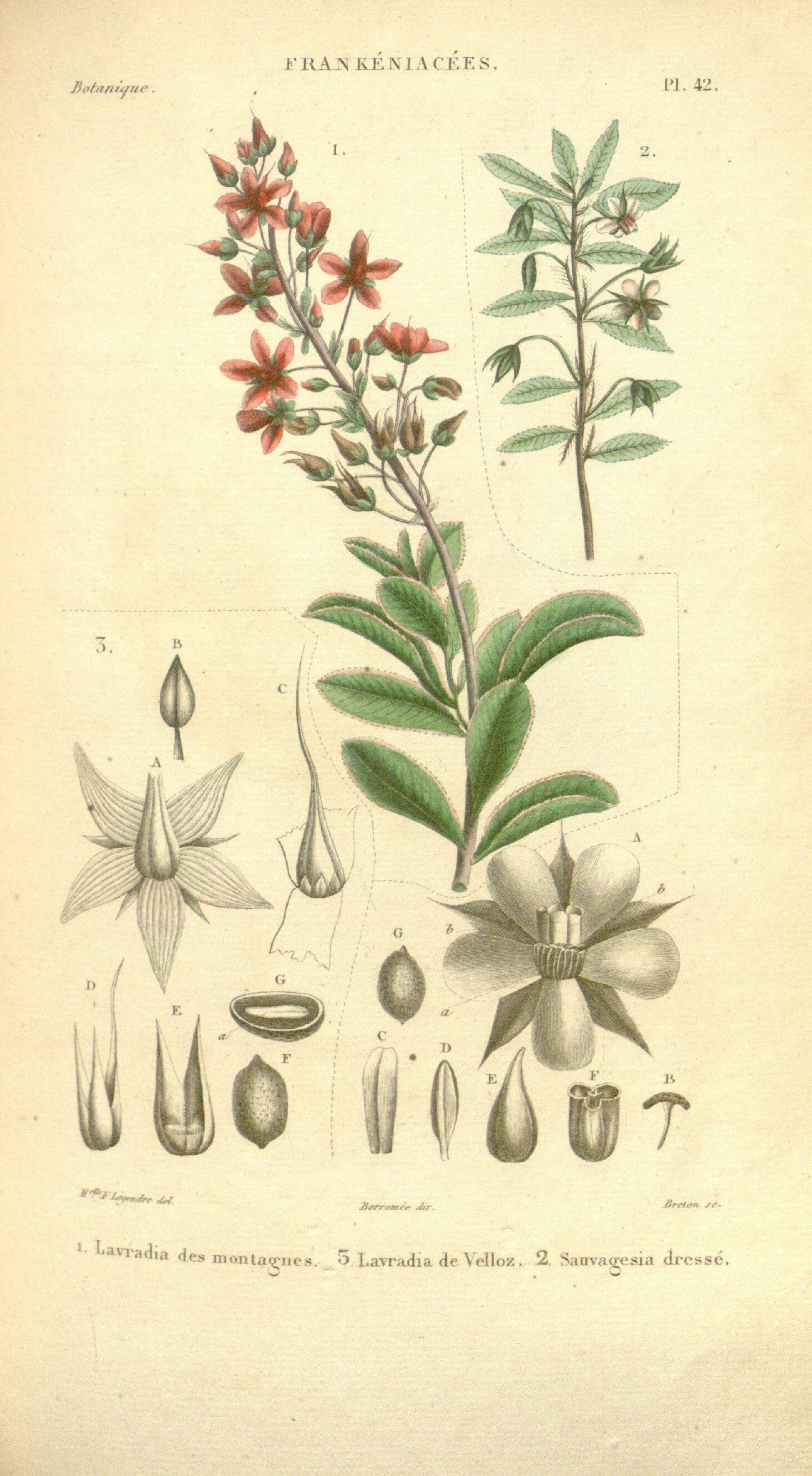 no full size  illustration available (3a)