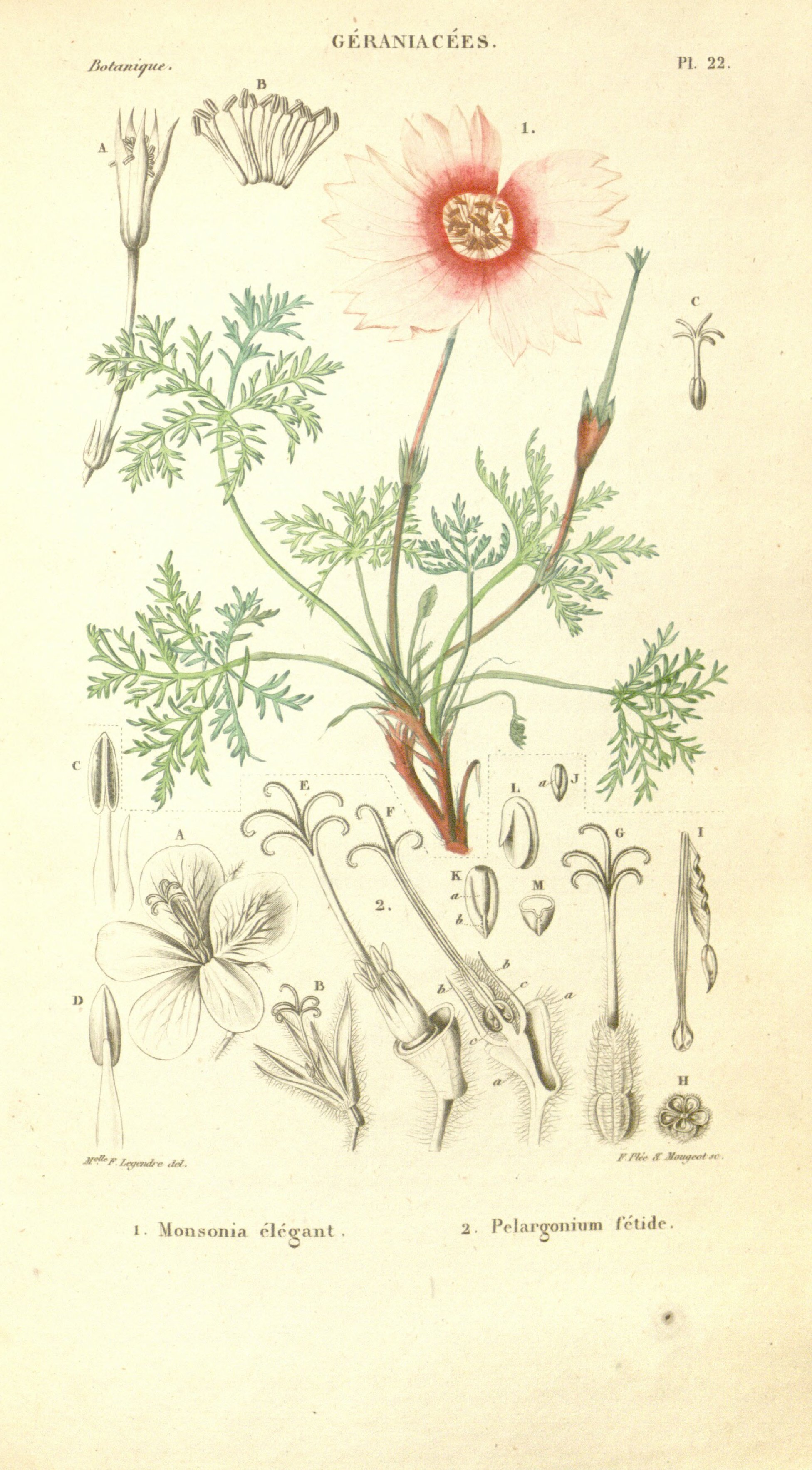 no full size  illustration available (3a)