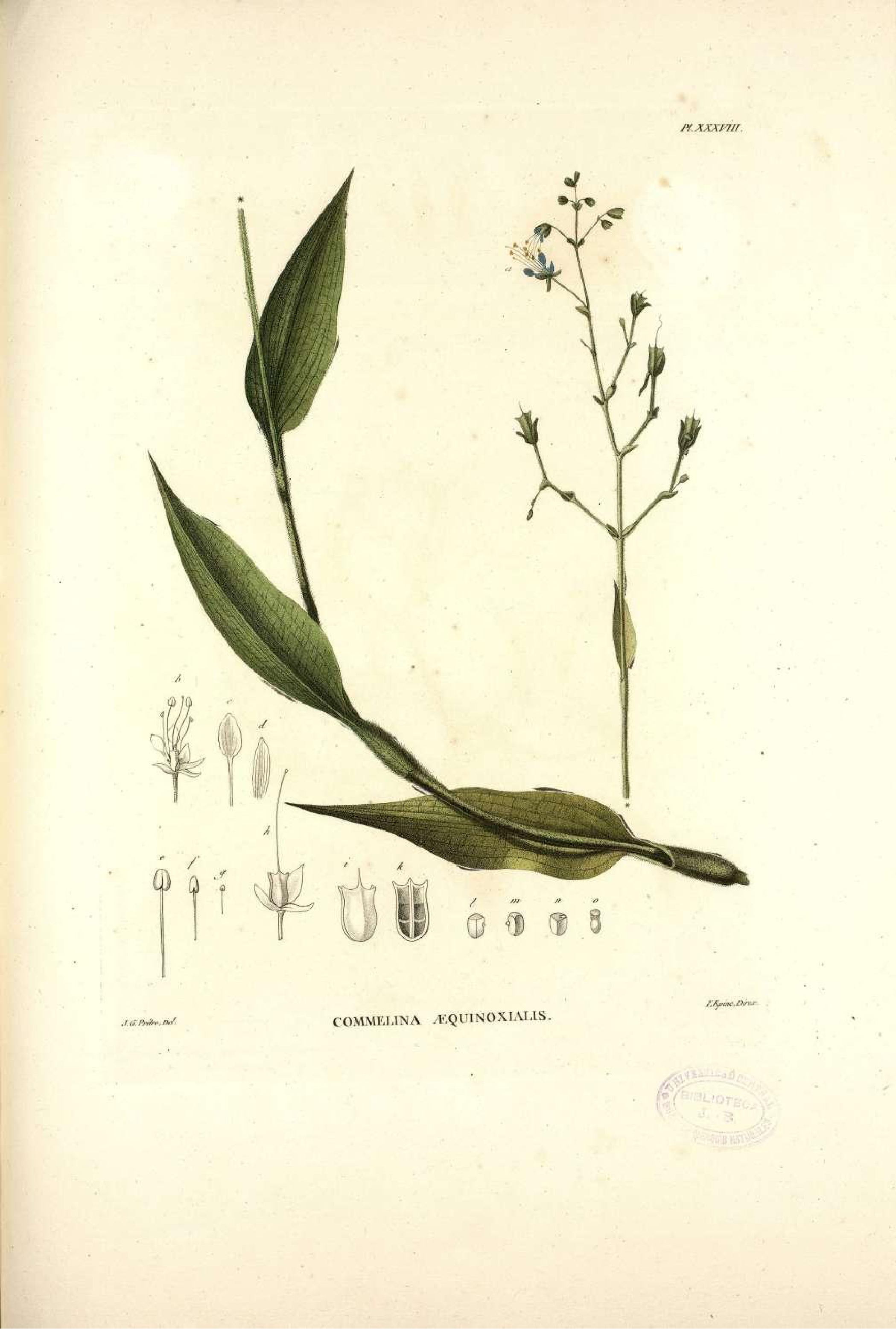 no full size  illustration available (3a)