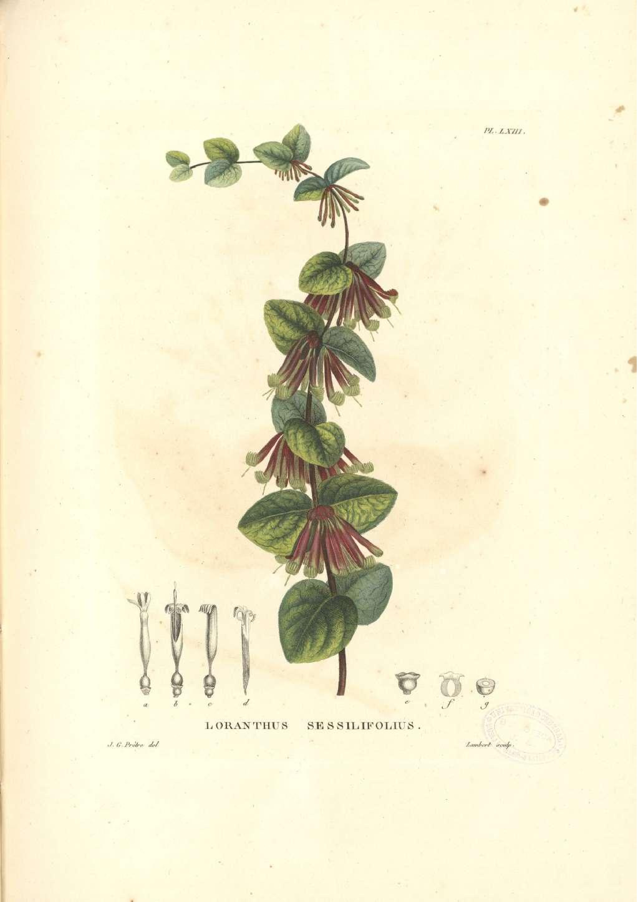 no full size  illustration available (3a)