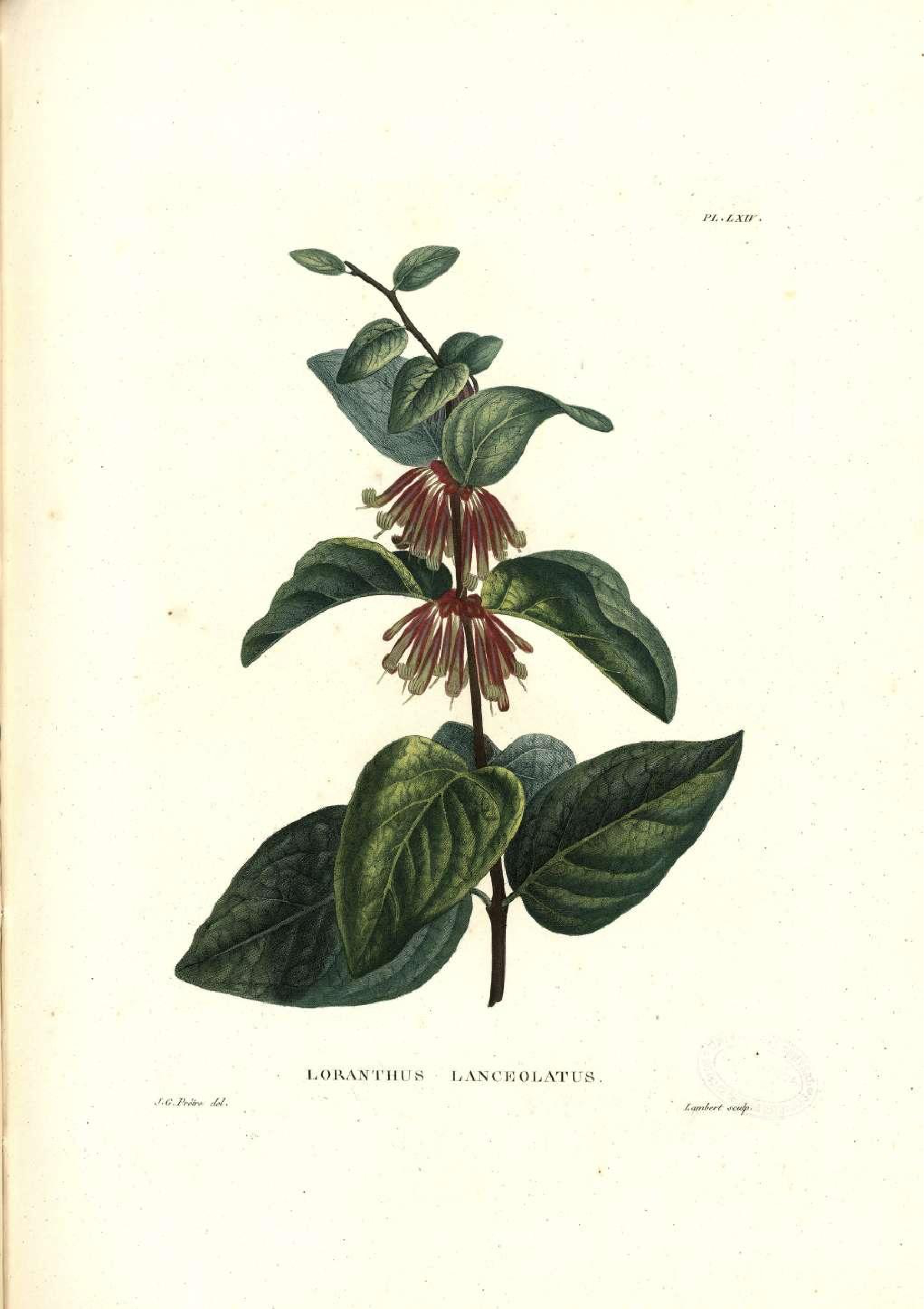 no full size  illustration available (3a)